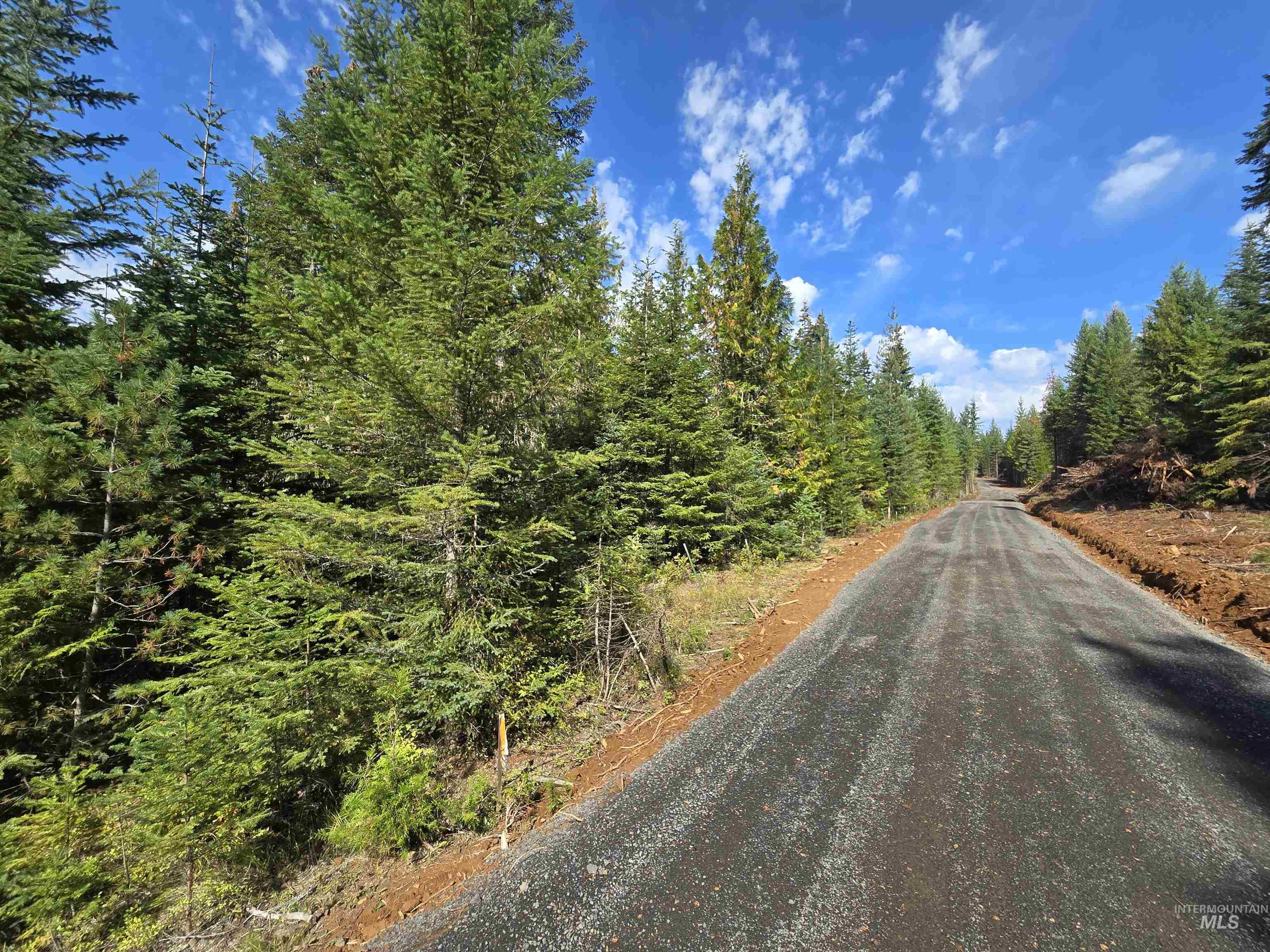 TBD #7 Hjalmar Johnson Road, Weippe, Idaho 83553, Land For Sale, Price $100,000,MLS 98979966