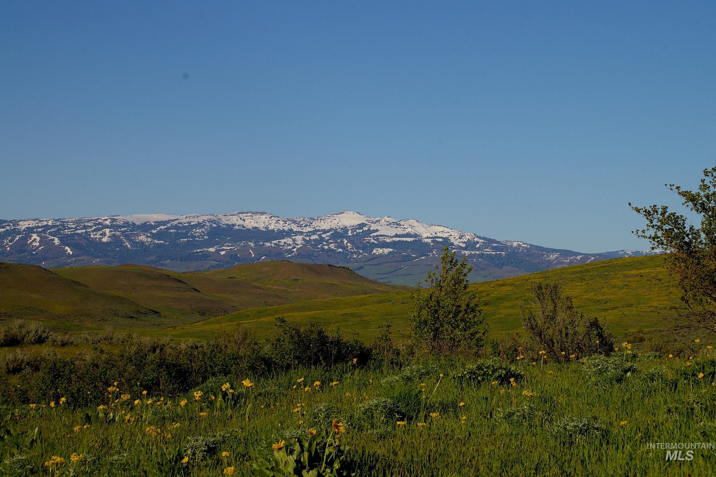 L15 Cuddy View Drive, Council, Idaho 83612, Land For Sale, Price $180,000,MLS 98979977