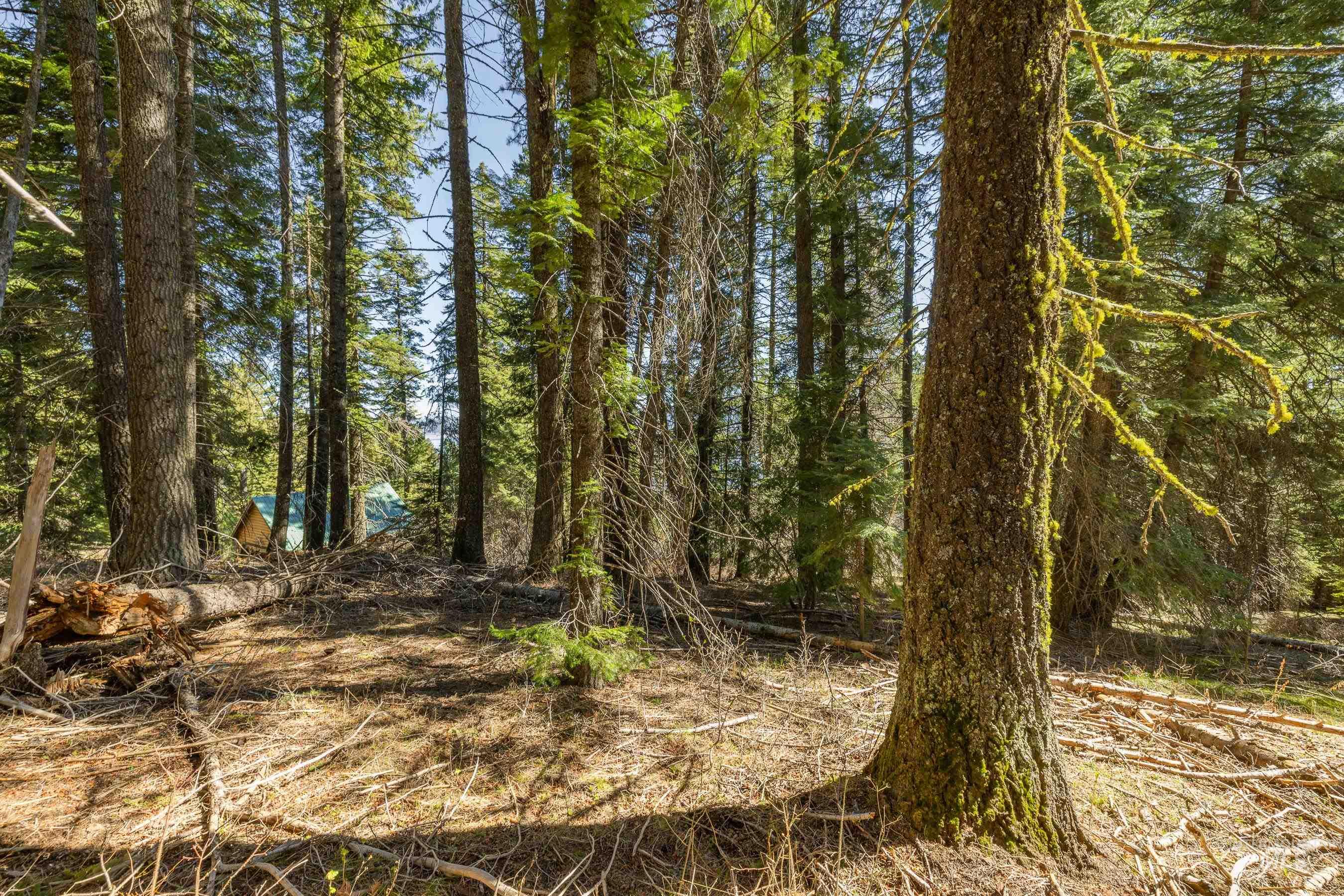 44 Burnt Wagon Tr, Donnelly, Idaho 83615, Land For Sale, Price $175,000,MLS 98979988