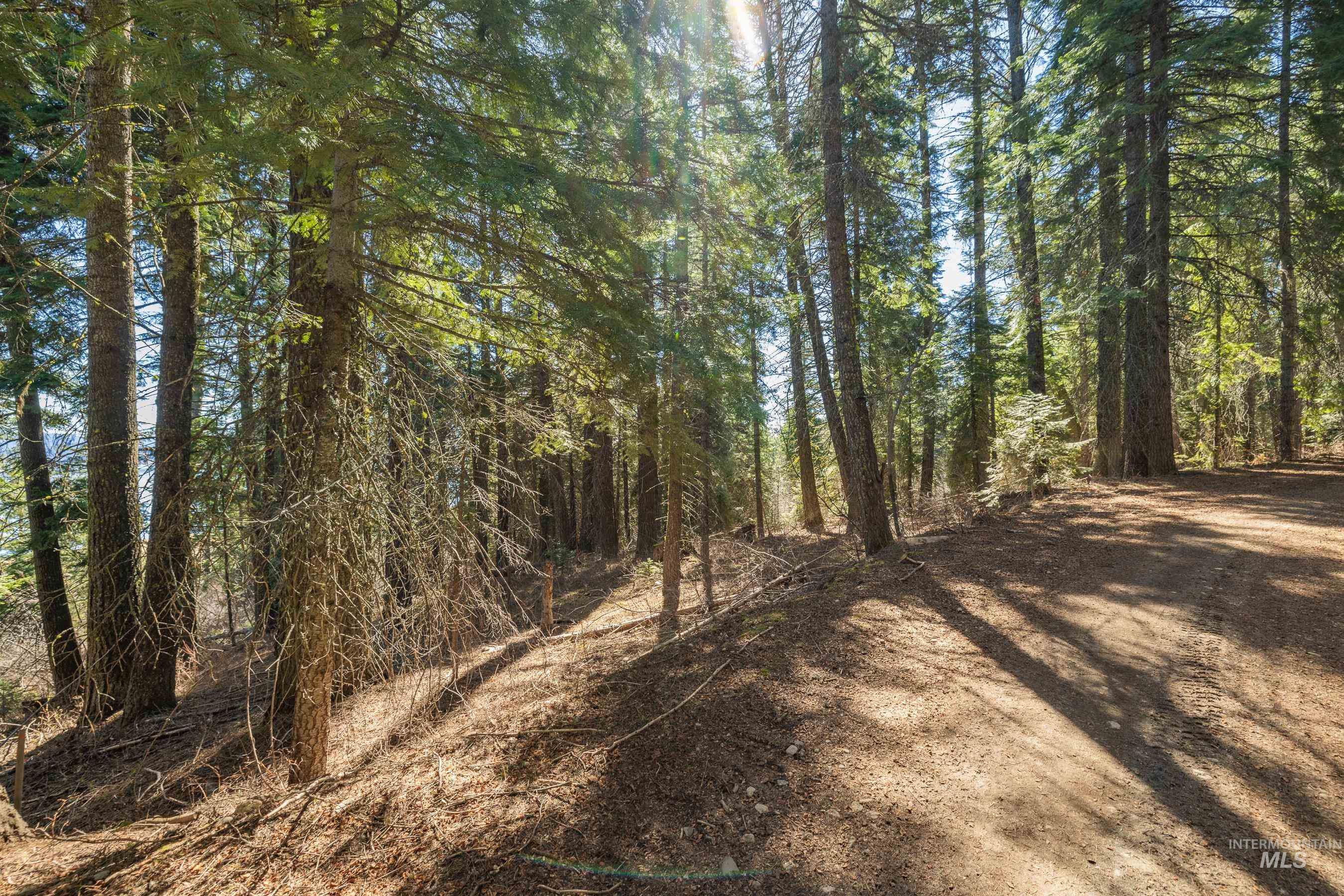 44 Burnt Wagon Tr, Donnelly, Idaho 83615, Land For Sale, Price $175,000,MLS 98979988