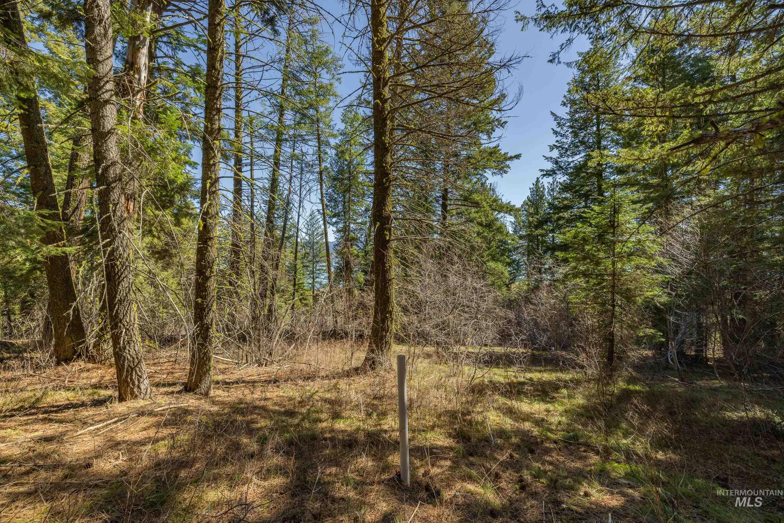 44 Burnt Wagon Tr, Donnelly, Idaho 83615, Land For Sale, Price $175,000,MLS 98979988