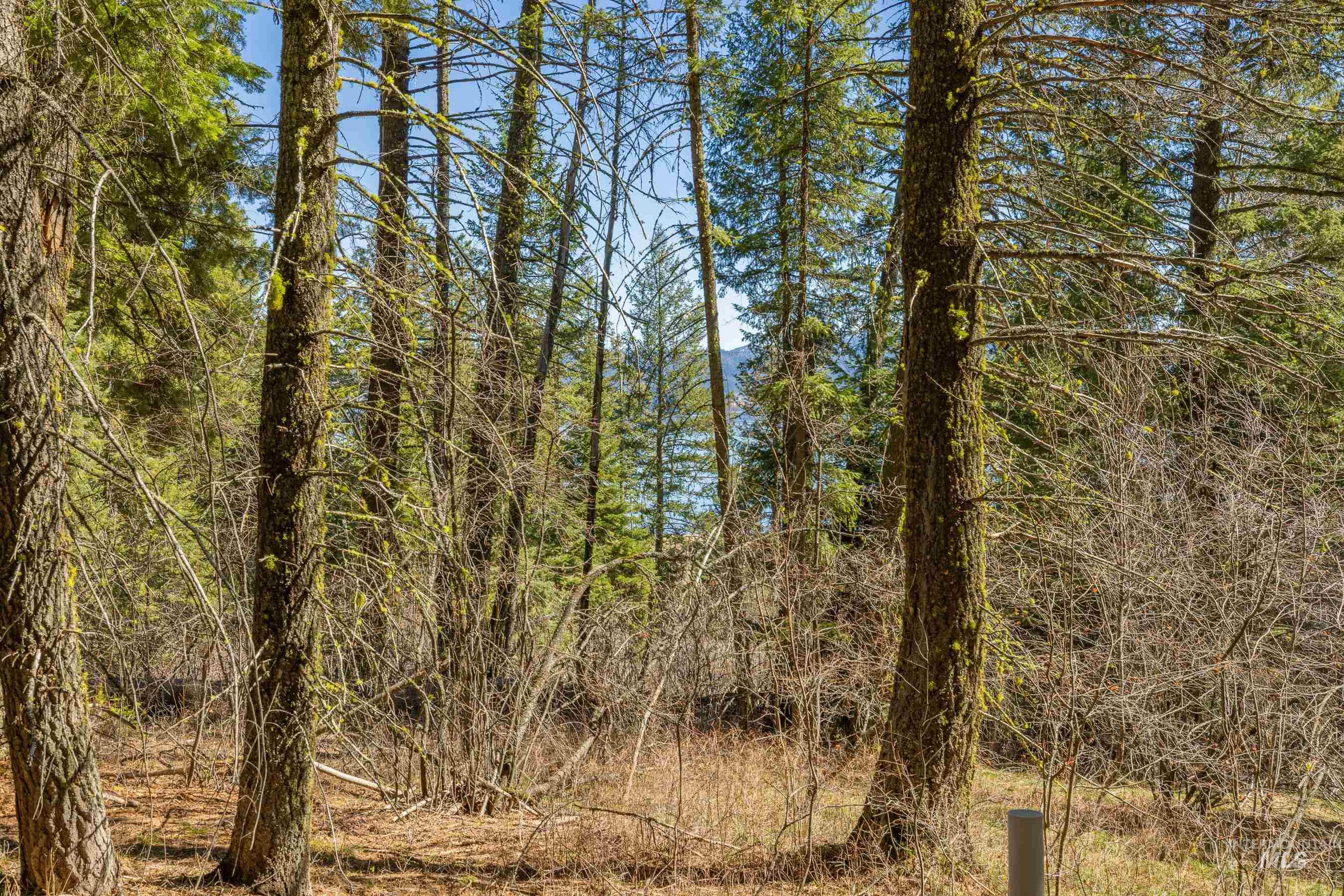 44 Burnt Wagon Tr, Donnelly, Idaho 83615, Land For Sale, Price $175,000,MLS 98979988