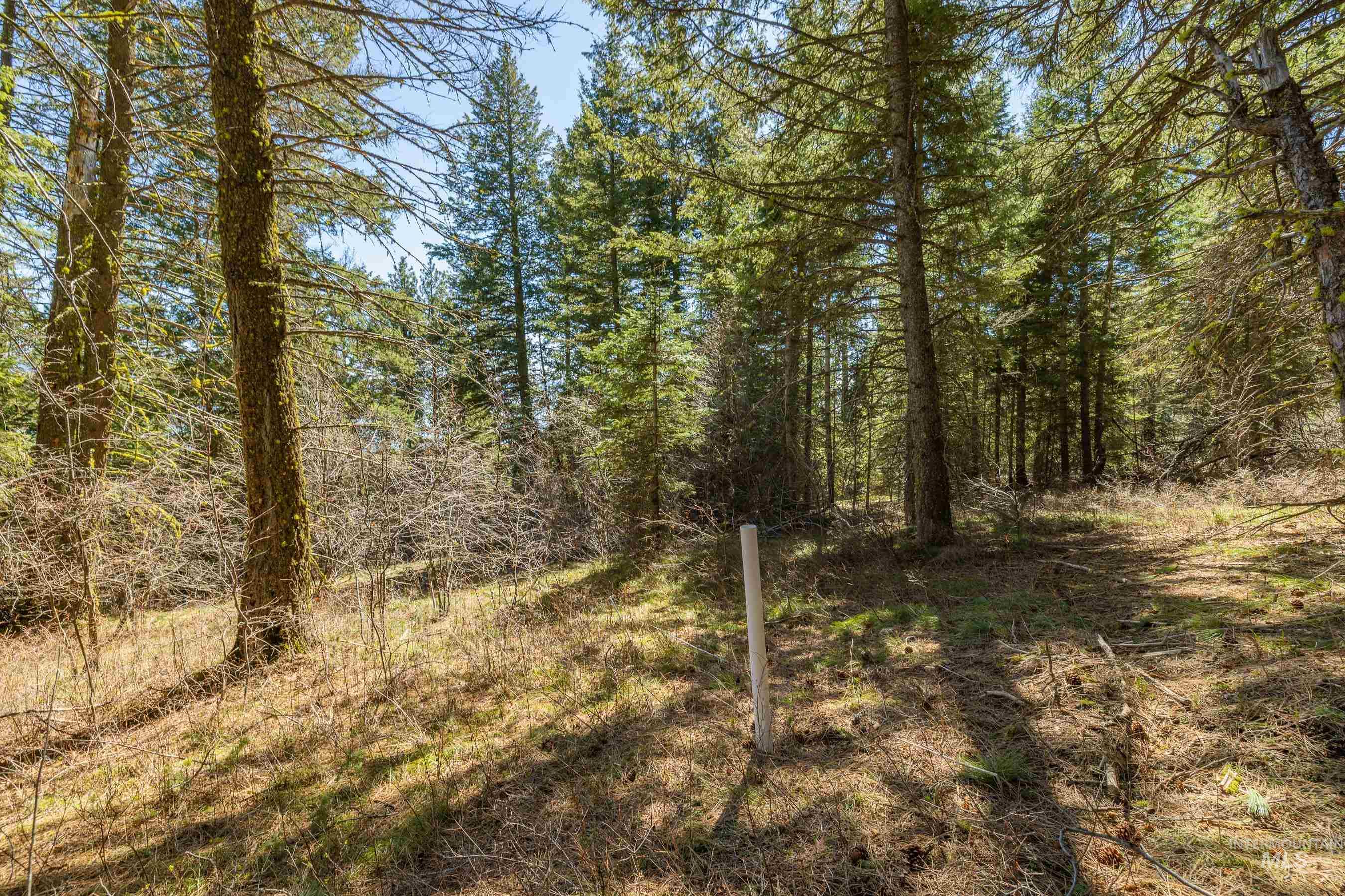 44 Burnt Wagon Tr, Donnelly, Idaho 83615, Land For Sale, Price $175,000,MLS 98979988