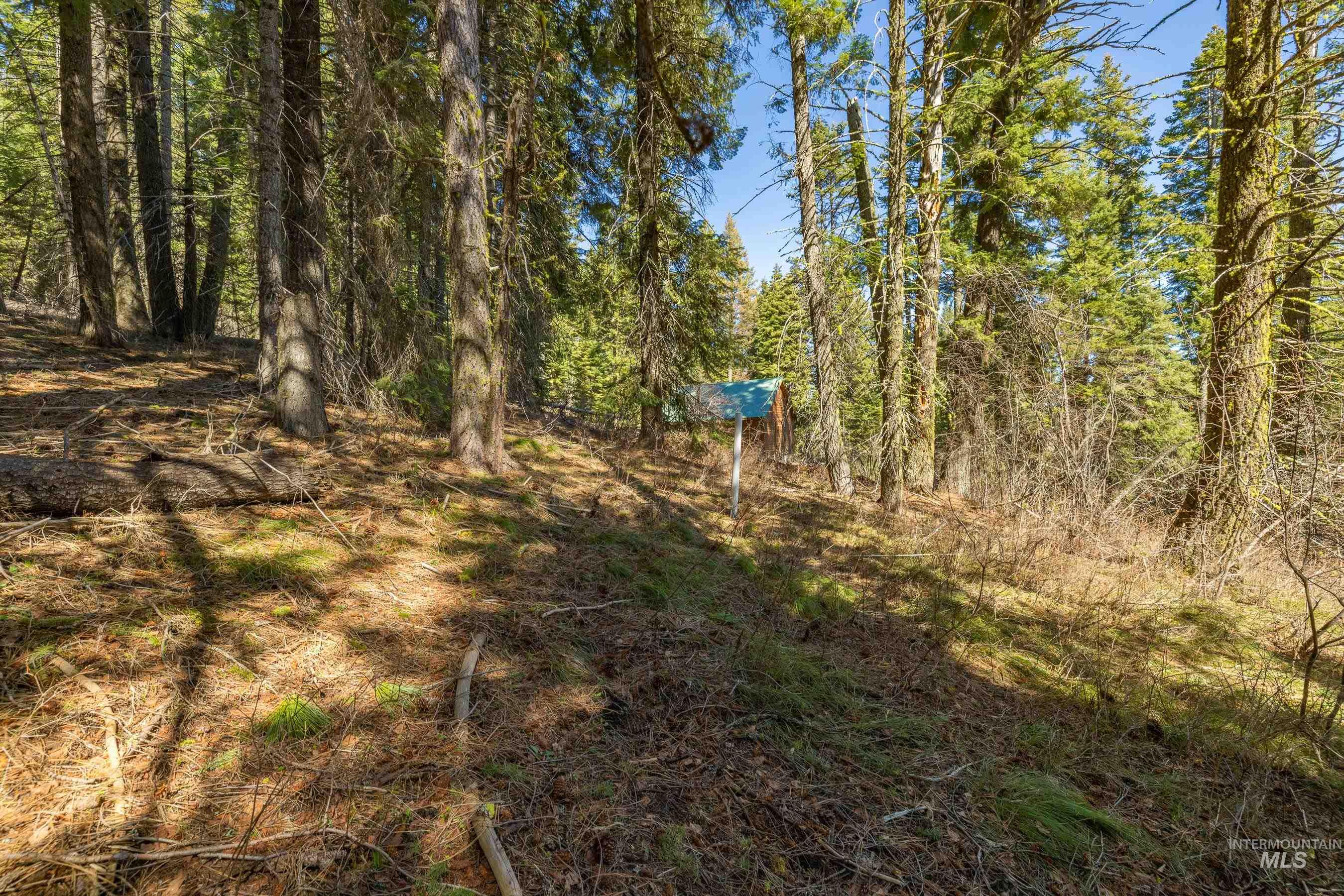 44 Burnt Wagon Tr, Donnelly, Idaho 83615, Land For Sale, Price $175,000,MLS 98979988