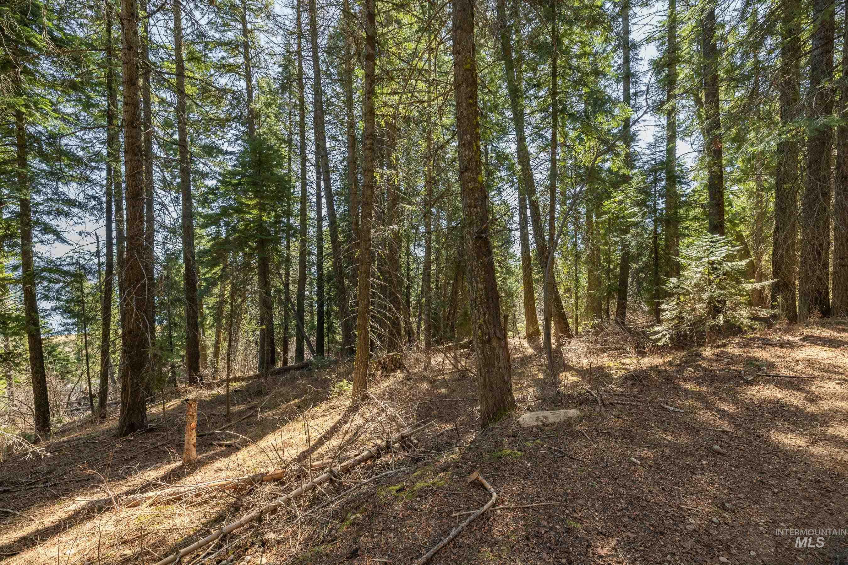 44 Burnt Wagon Tr, Donnelly, Idaho 83615, Land For Sale, Price $175,000,MLS 98979988