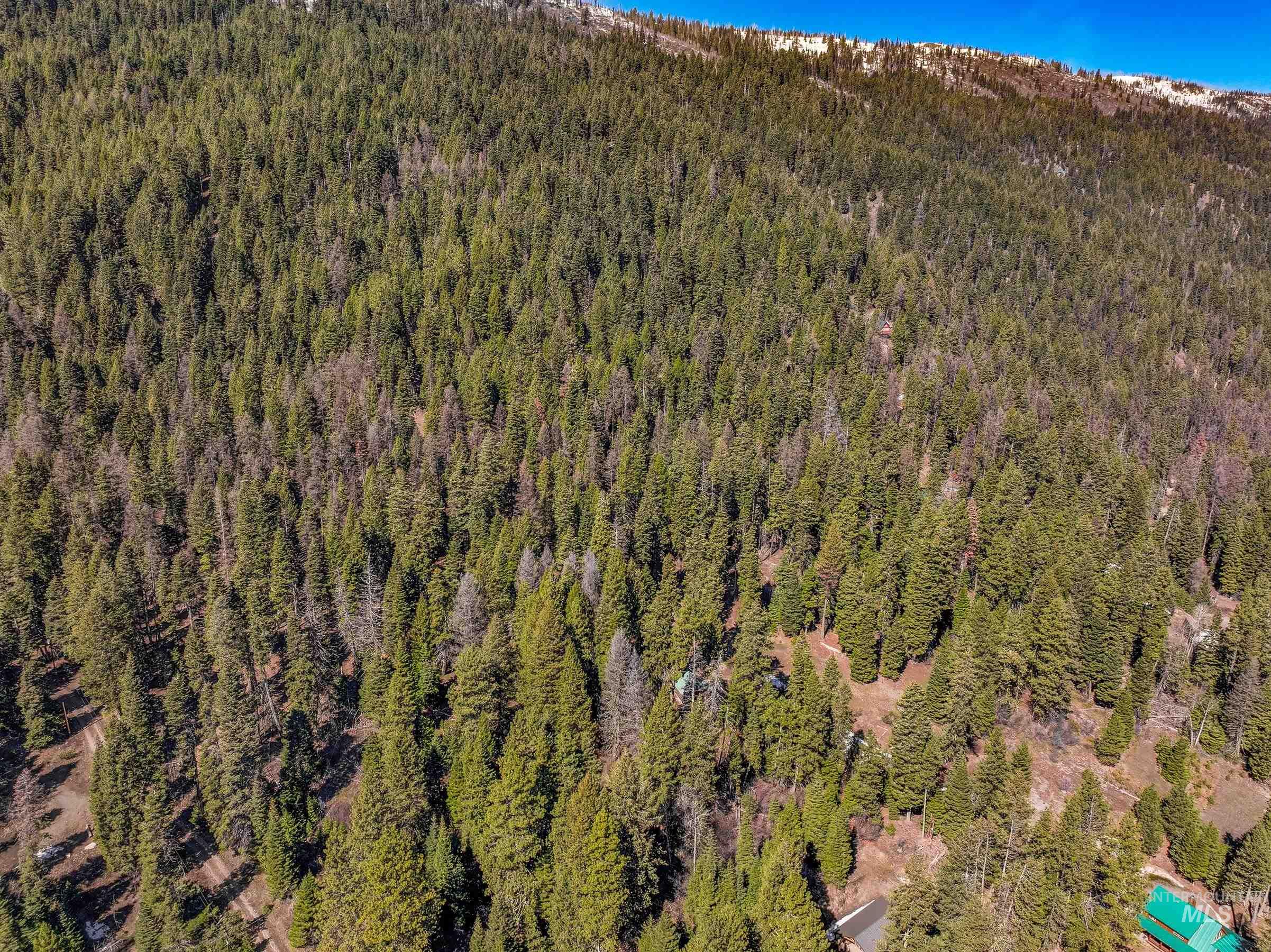 44 Burnt Wagon Tr, Donnelly, Idaho 83615, Land For Sale, Price $175,000,MLS 98979988