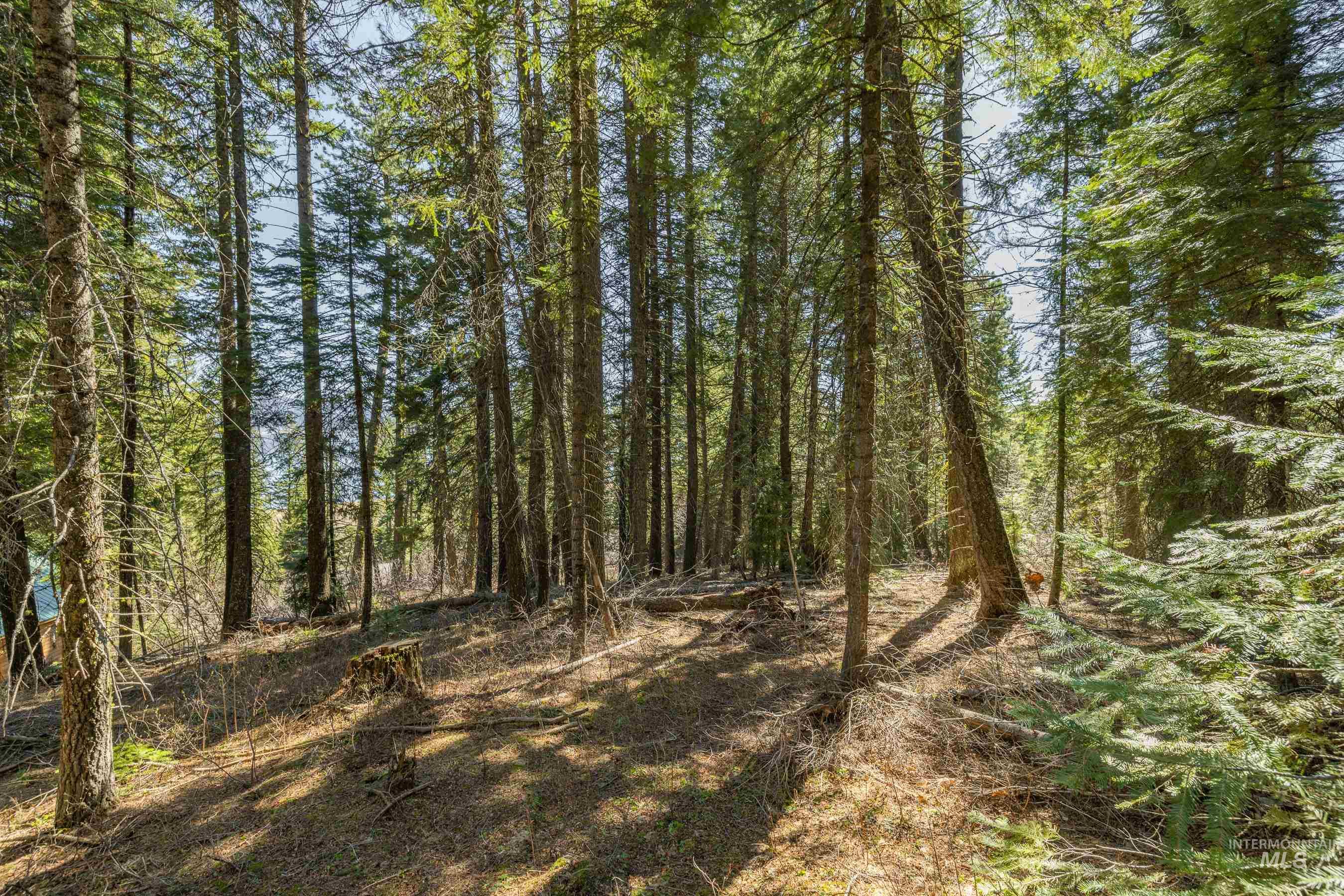 44 Burnt Wagon Tr, Donnelly, Idaho 83615, Land For Sale, Price $175,000,MLS 98979988