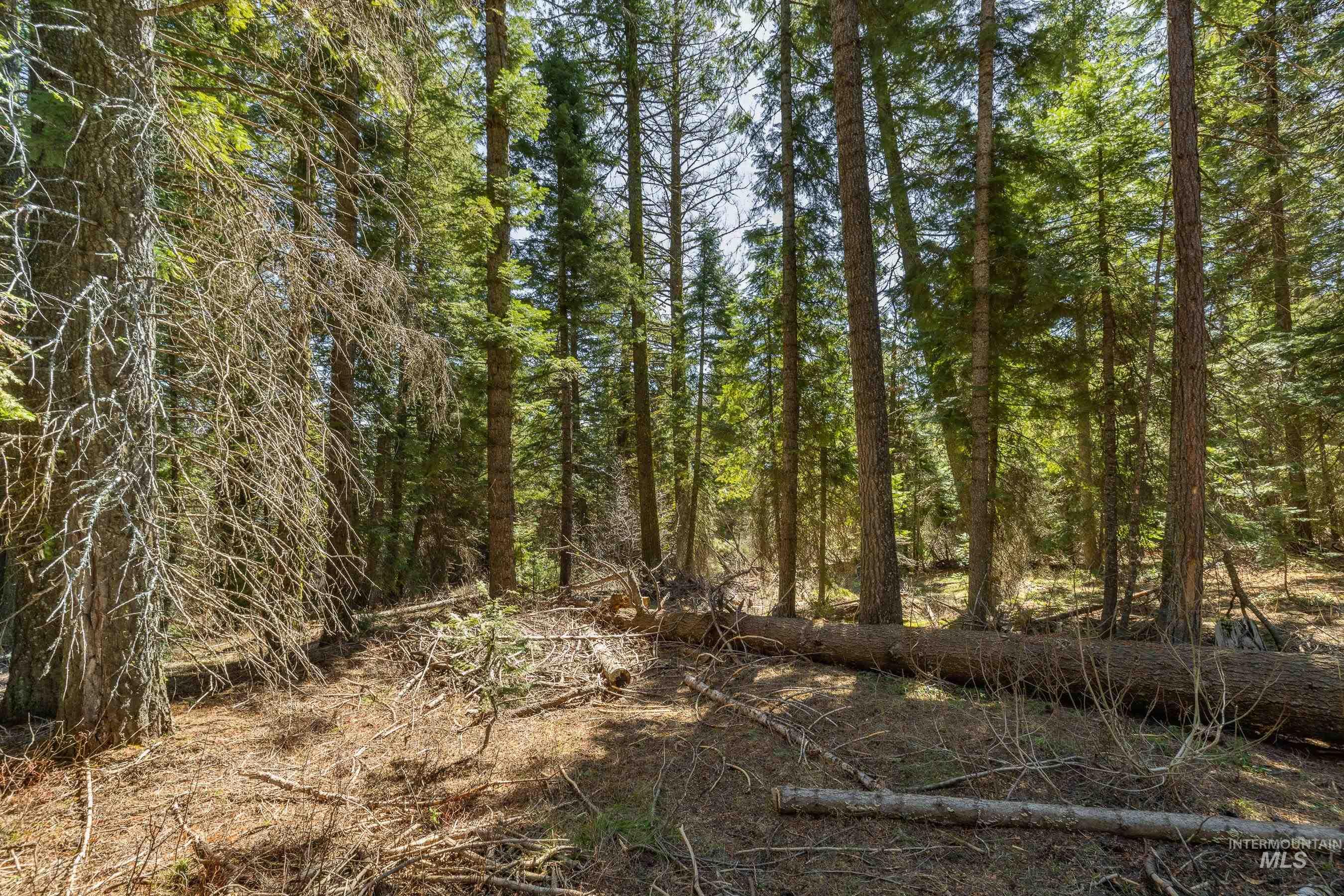 44 Burnt Wagon Tr, Donnelly, Idaho 83615, Land For Sale, Price $175,000,MLS 98979988