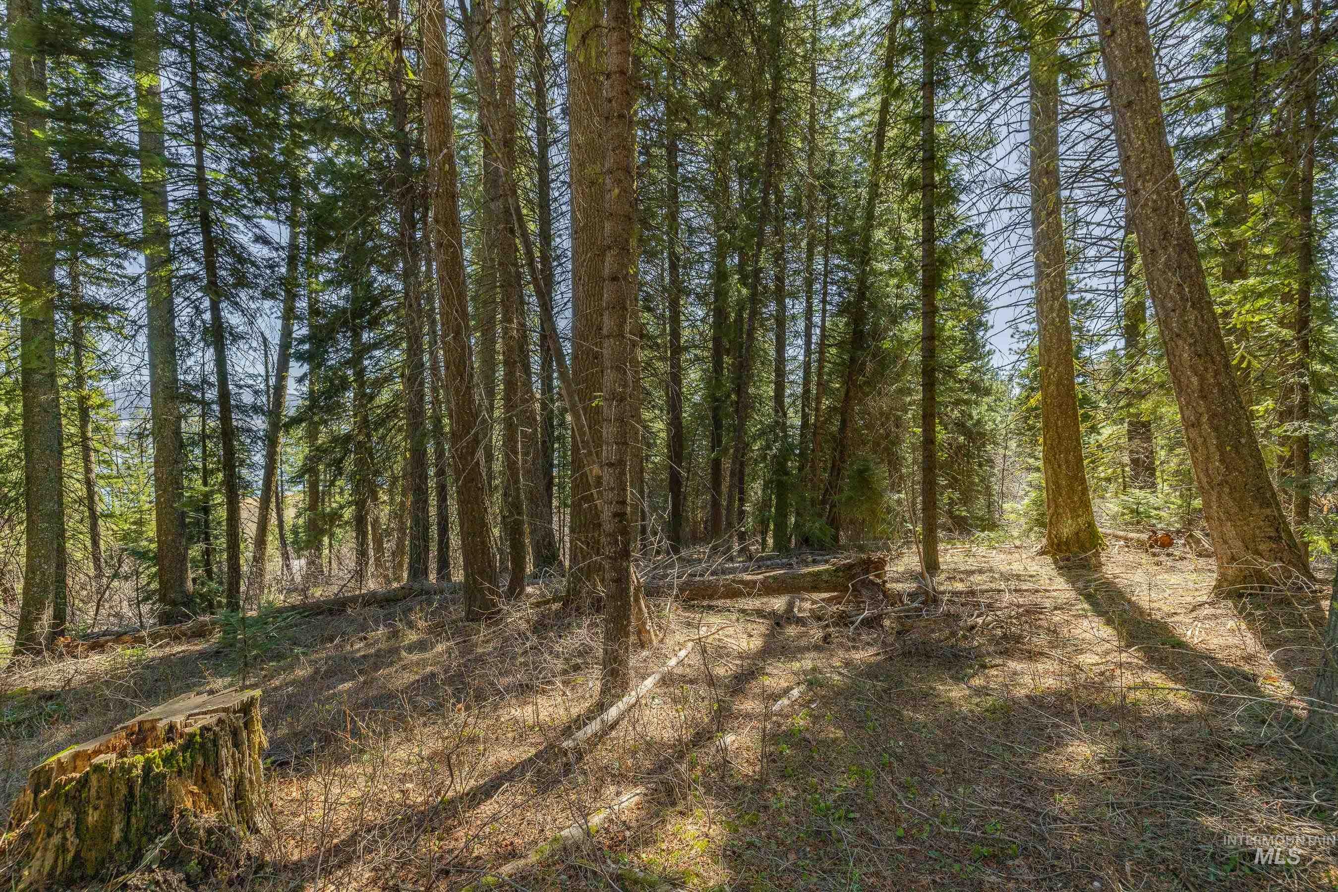 44 Burnt Wagon Tr, Donnelly, Idaho 83615, Land For Sale, Price $175,000,MLS 98979988