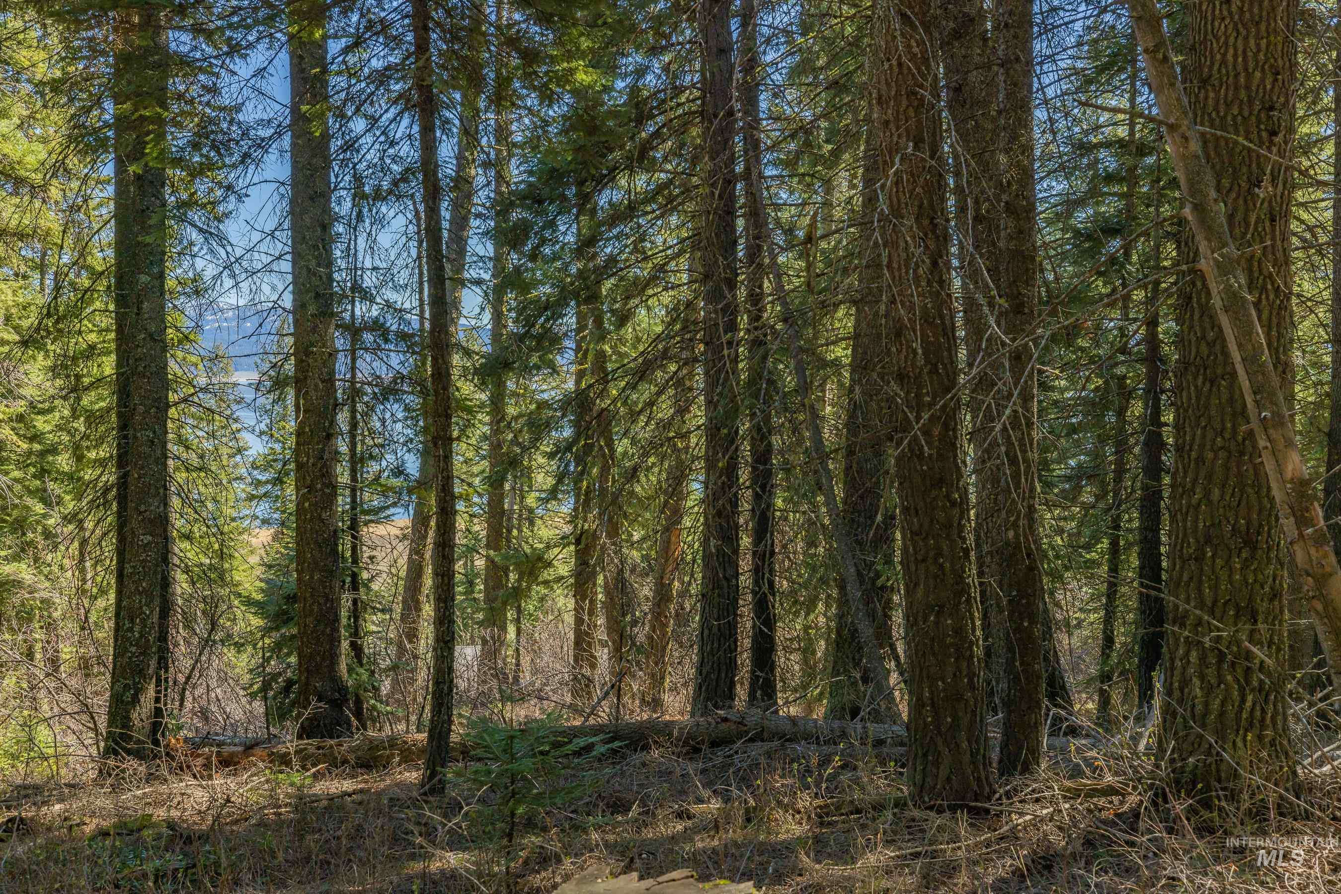 44 Burnt Wagon Tr, Donnelly, Idaho 83615, Land For Sale, Price $175,000,MLS 98979988