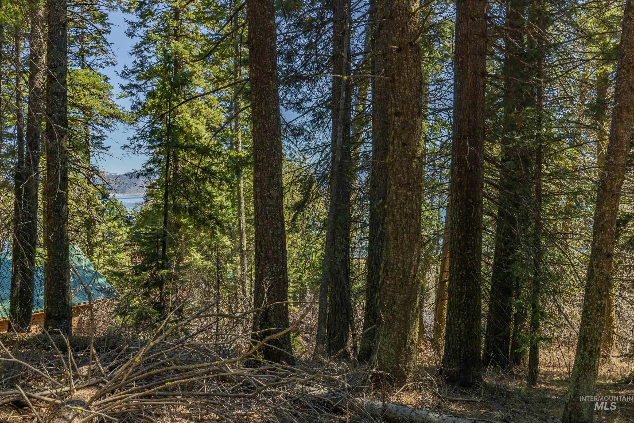 44 Burnt Wagon Tr, Donnelly, Idaho 83615, Land For Sale, Price $175,000,MLS 98979988