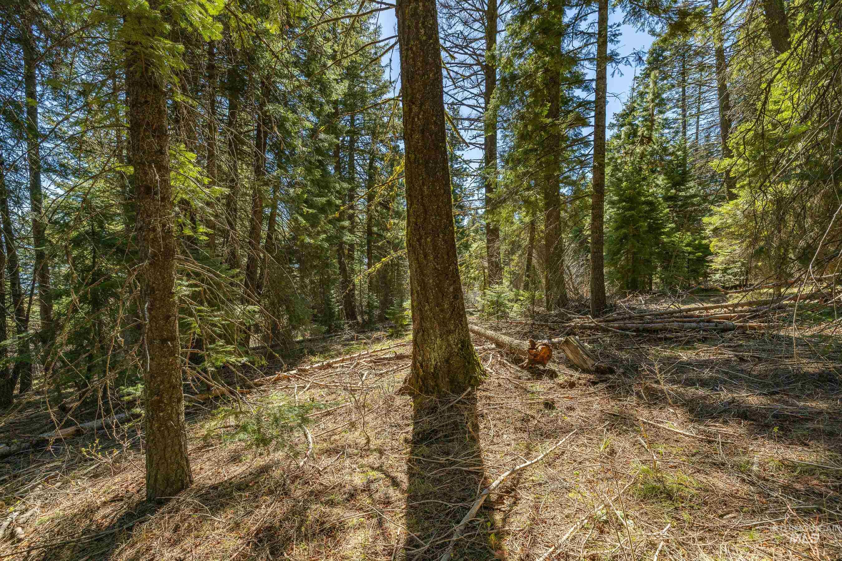 44 Burnt Wagon Tr, Donnelly, Idaho 83615, Land For Sale, Price $175,000,MLS 98979988