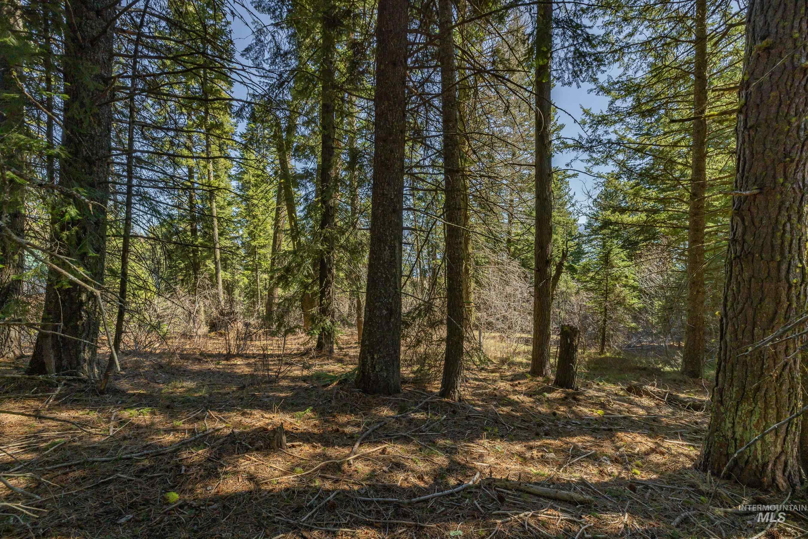 44 Burnt Wagon Tr, Donnelly, Idaho 83615, Land For Sale, Price $175,000,MLS 98979988