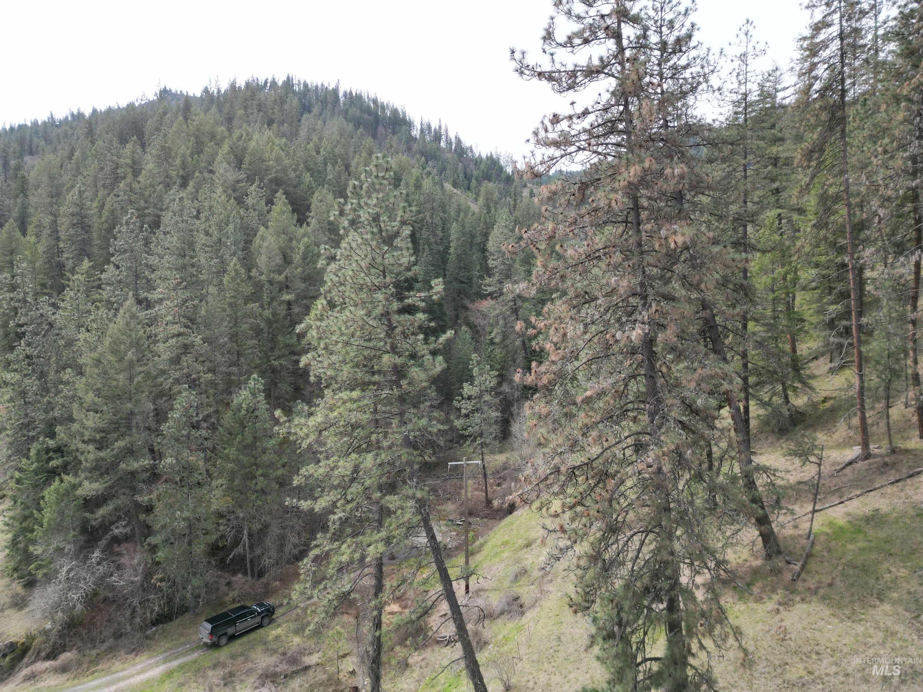 TBD Highway 12, Orofino, Idaho 83544, Land For Sale, Price $199,900,MLS 98979990