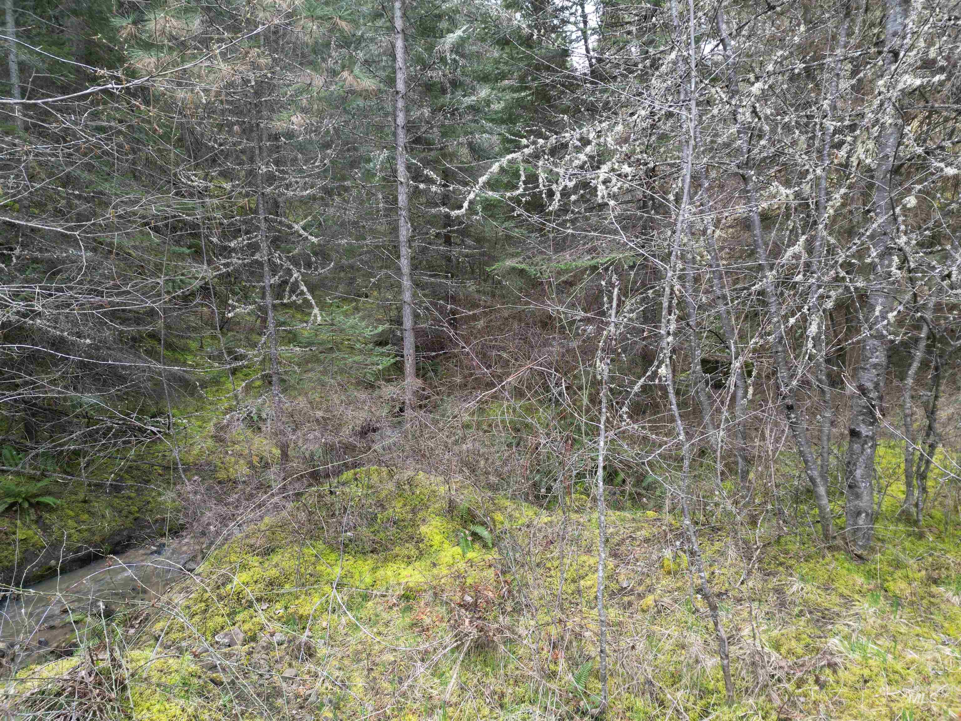 TBD Highway 12, Orofino, Idaho 83544, Land For Sale, Price $199,900,MLS 98979990