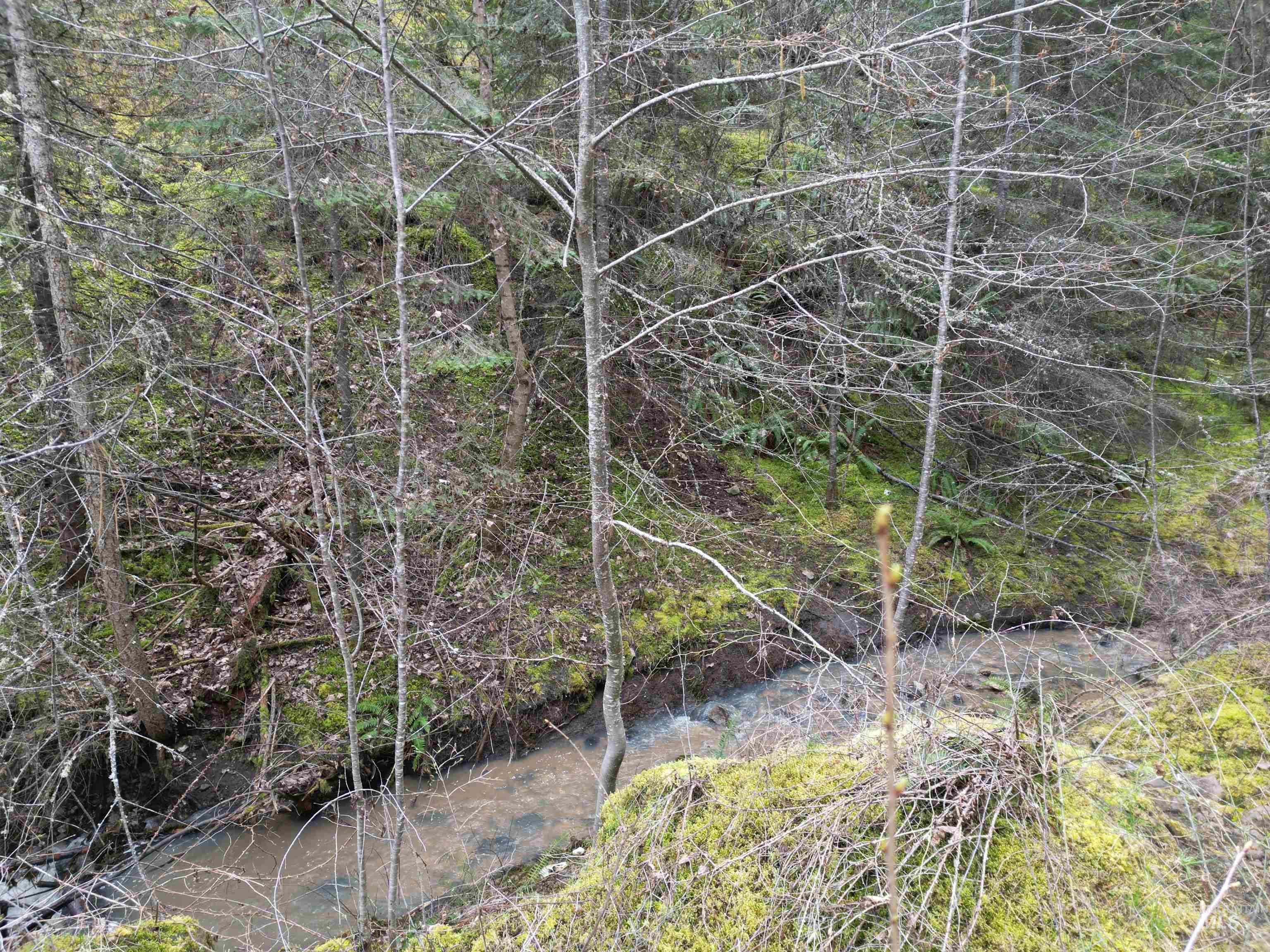 TBD Highway 12, Orofino, Idaho 83544, Land For Sale, Price $199,900,MLS 98979990