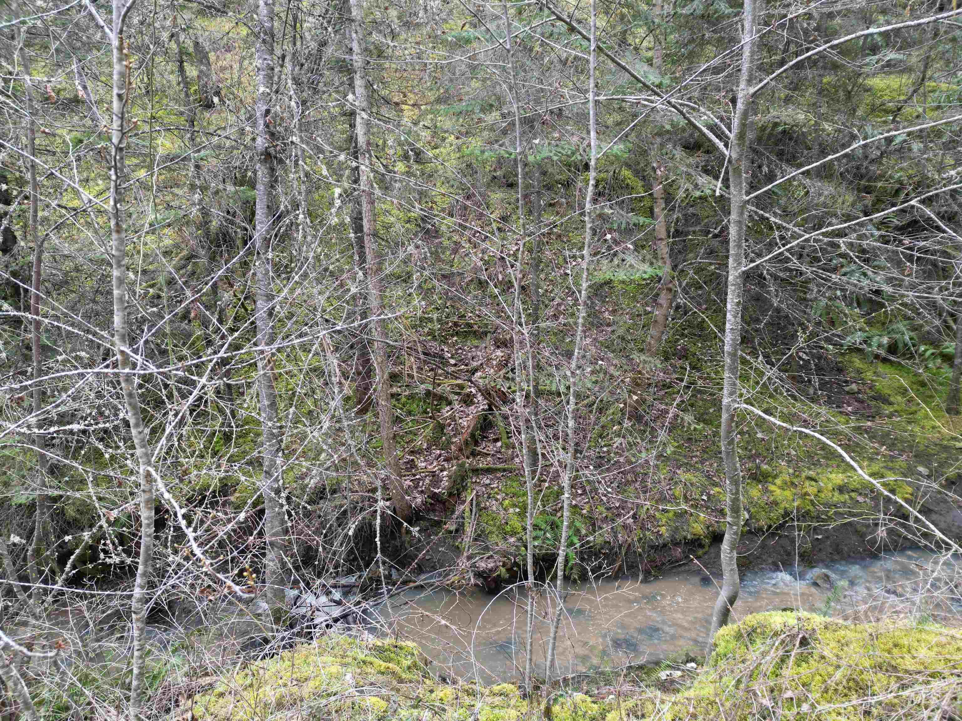 TBD Highway 12, Orofino, Idaho 83544, Land For Sale, Price $199,900,MLS 98979990