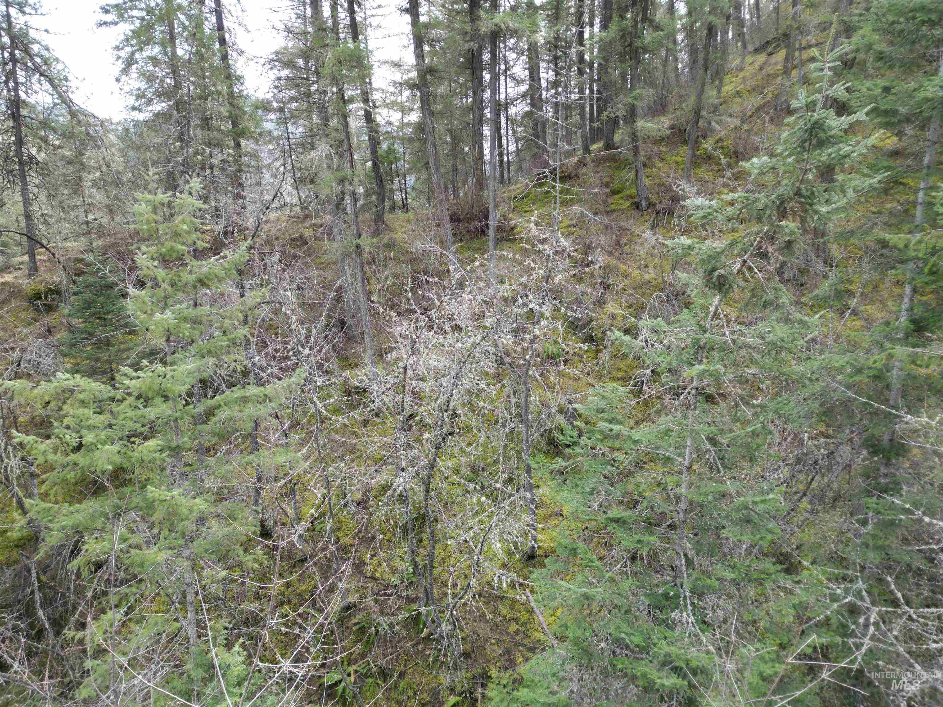TBD Highway 12, Orofino, Idaho 83544, Land For Sale, Price $199,900,MLS 98979990