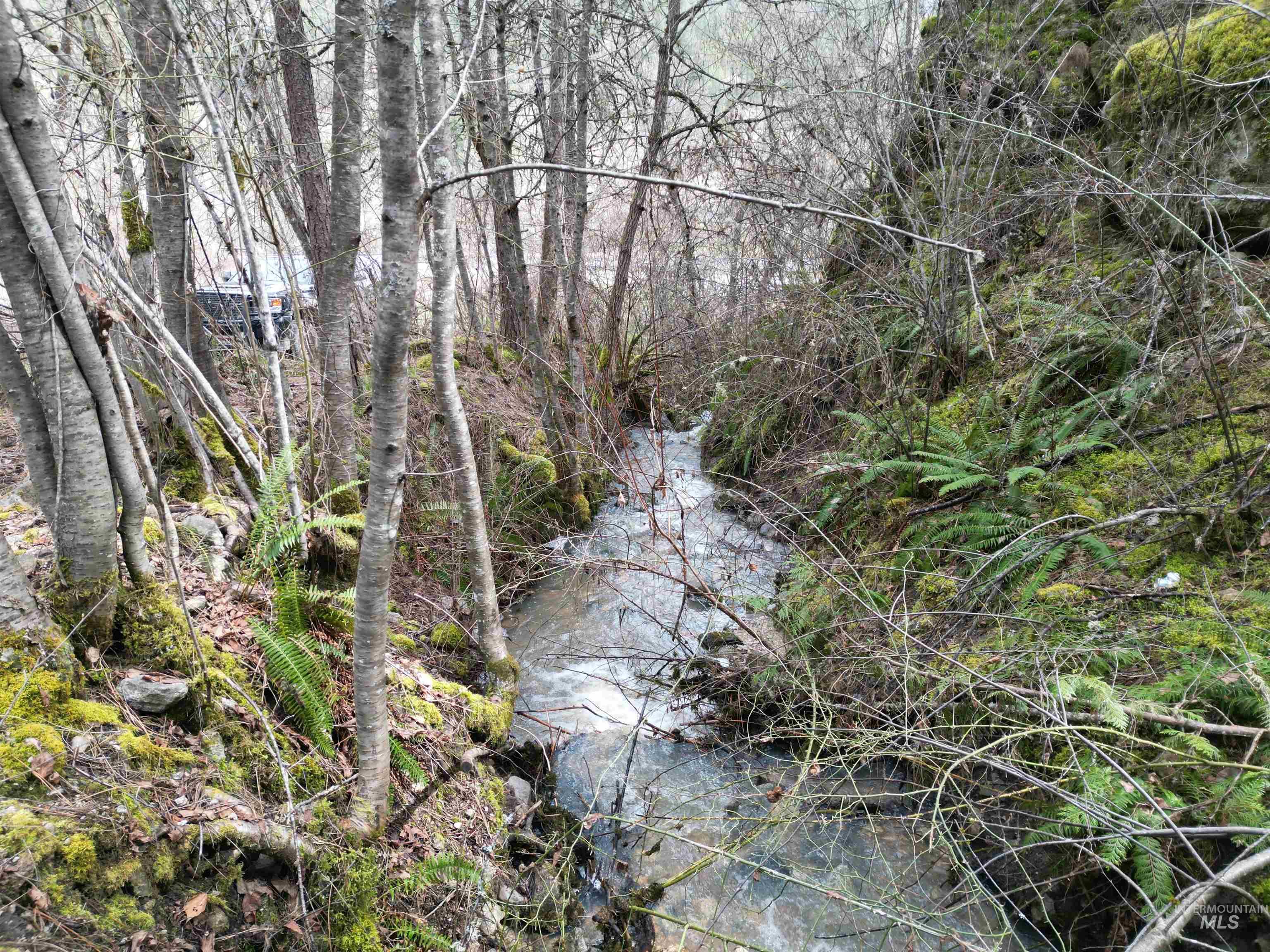 TBD Highway 12, Orofino, Idaho 83544, Land For Sale, Price $199,900,MLS 98979990