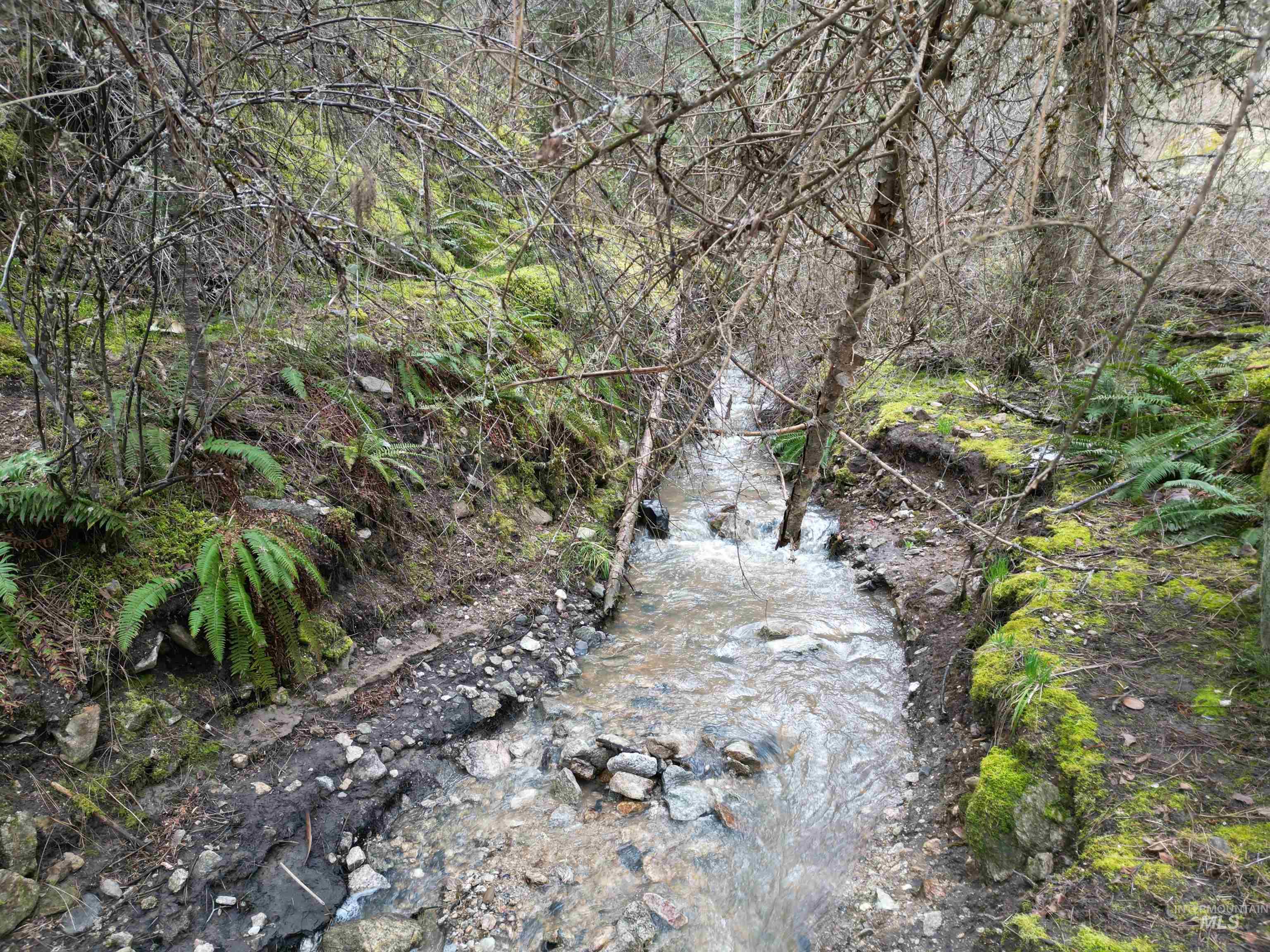 TBD Highway 12, Orofino, Idaho 83544, Land For Sale, Price $199,900,MLS 98979990