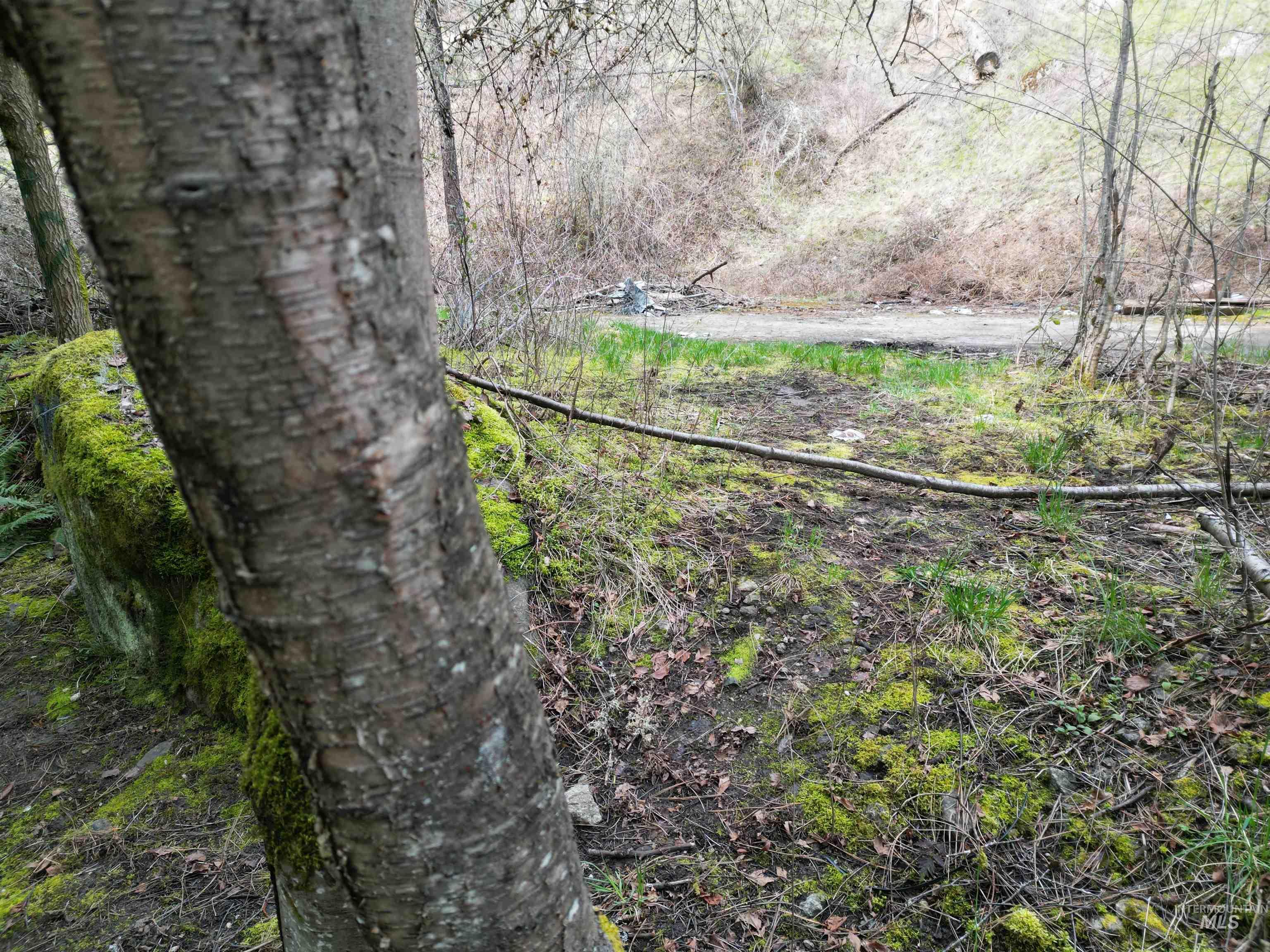 TBD Highway 12, Orofino, Idaho 83544, Land For Sale, Price $199,900,MLS 98979990