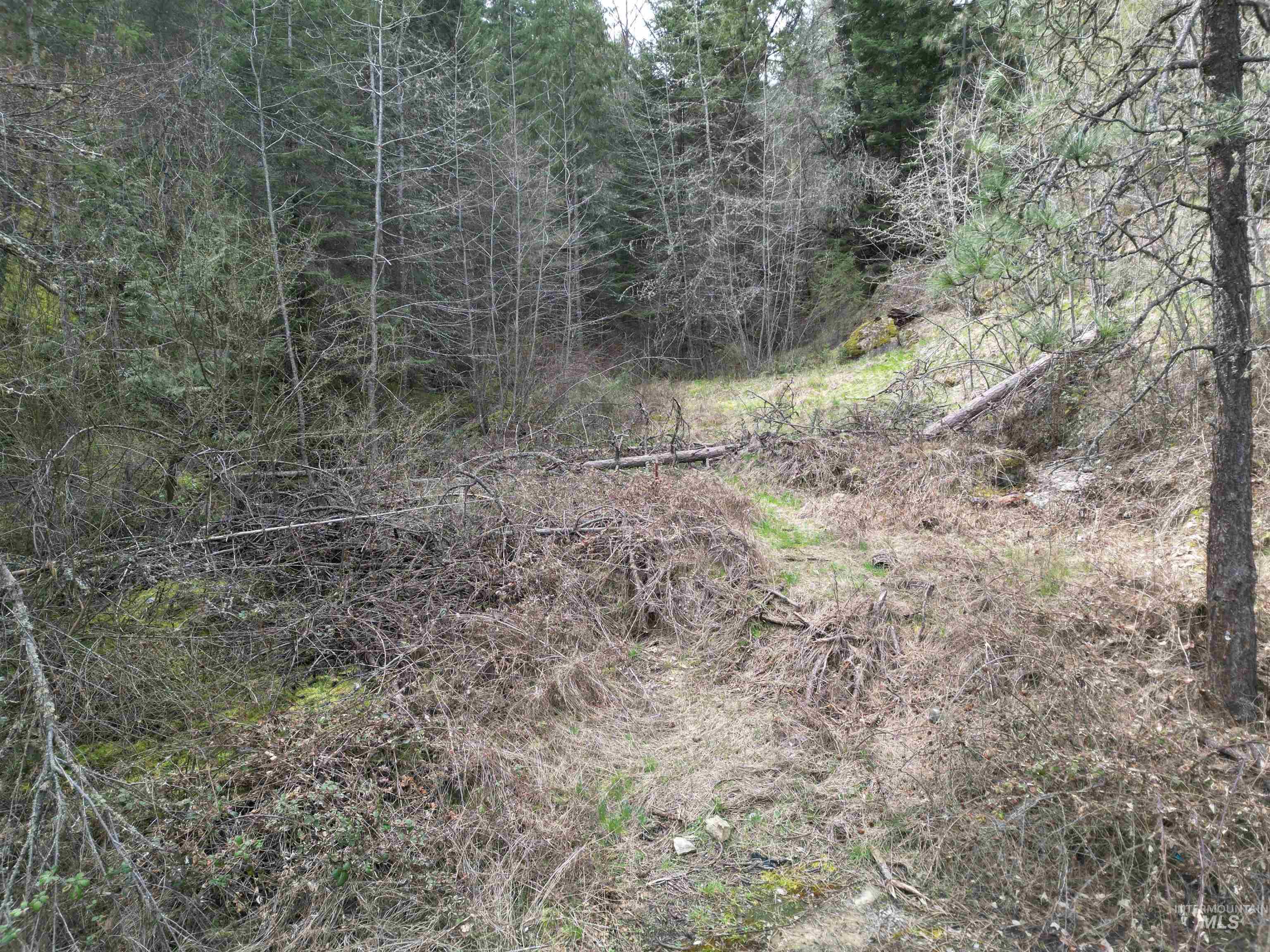 TBD Highway 12, Orofino, Idaho 83544, Land For Sale, Price $199,900,MLS 98979990