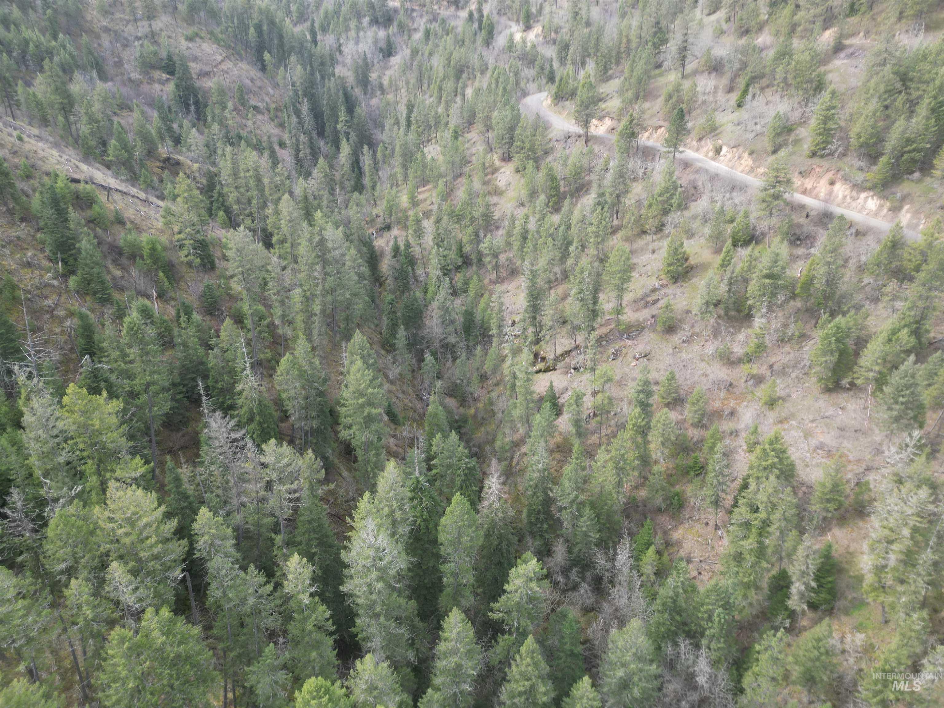 TBD Highway 12, Orofino, Idaho 83544, Land For Sale, Price $199,900,MLS 98979990