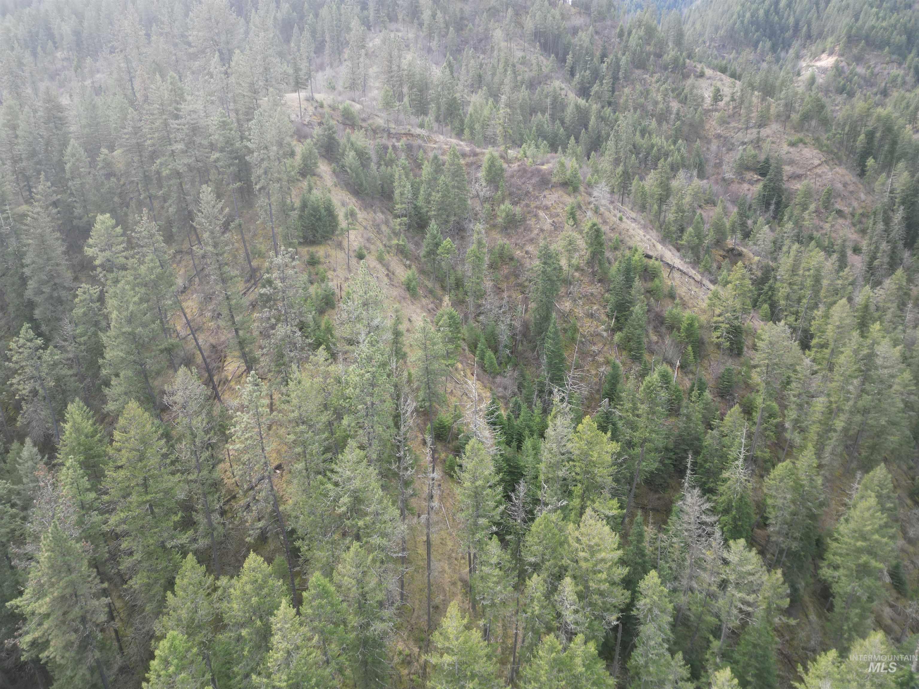 TBD Highway 12, Orofino, Idaho 83544, Land For Sale, Price $199,900,MLS 98979990