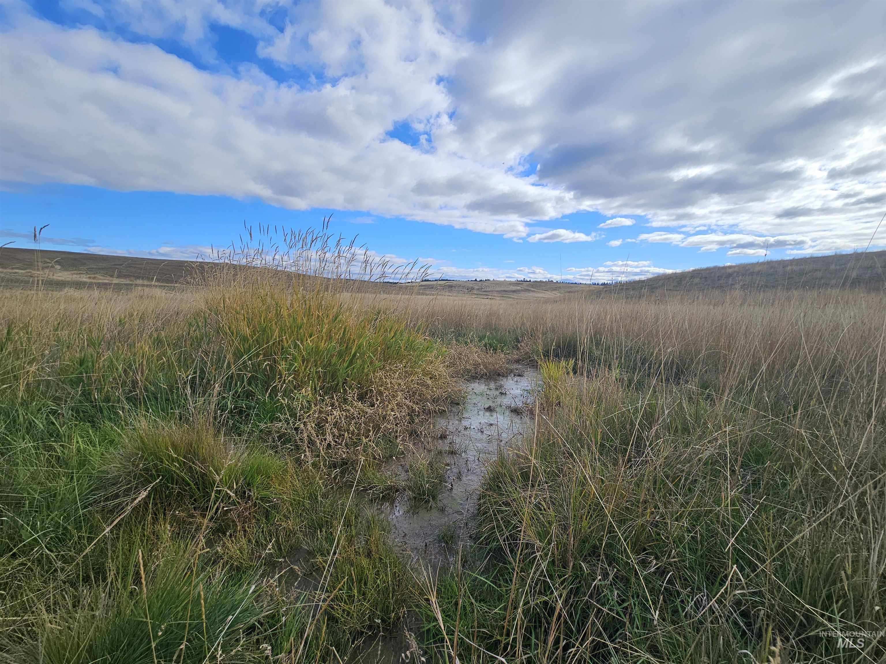 0 Brown Rd, Parcel 2, Lenore, Idaho 83541, Land For Sale, Price $199,000,MLS 98979991