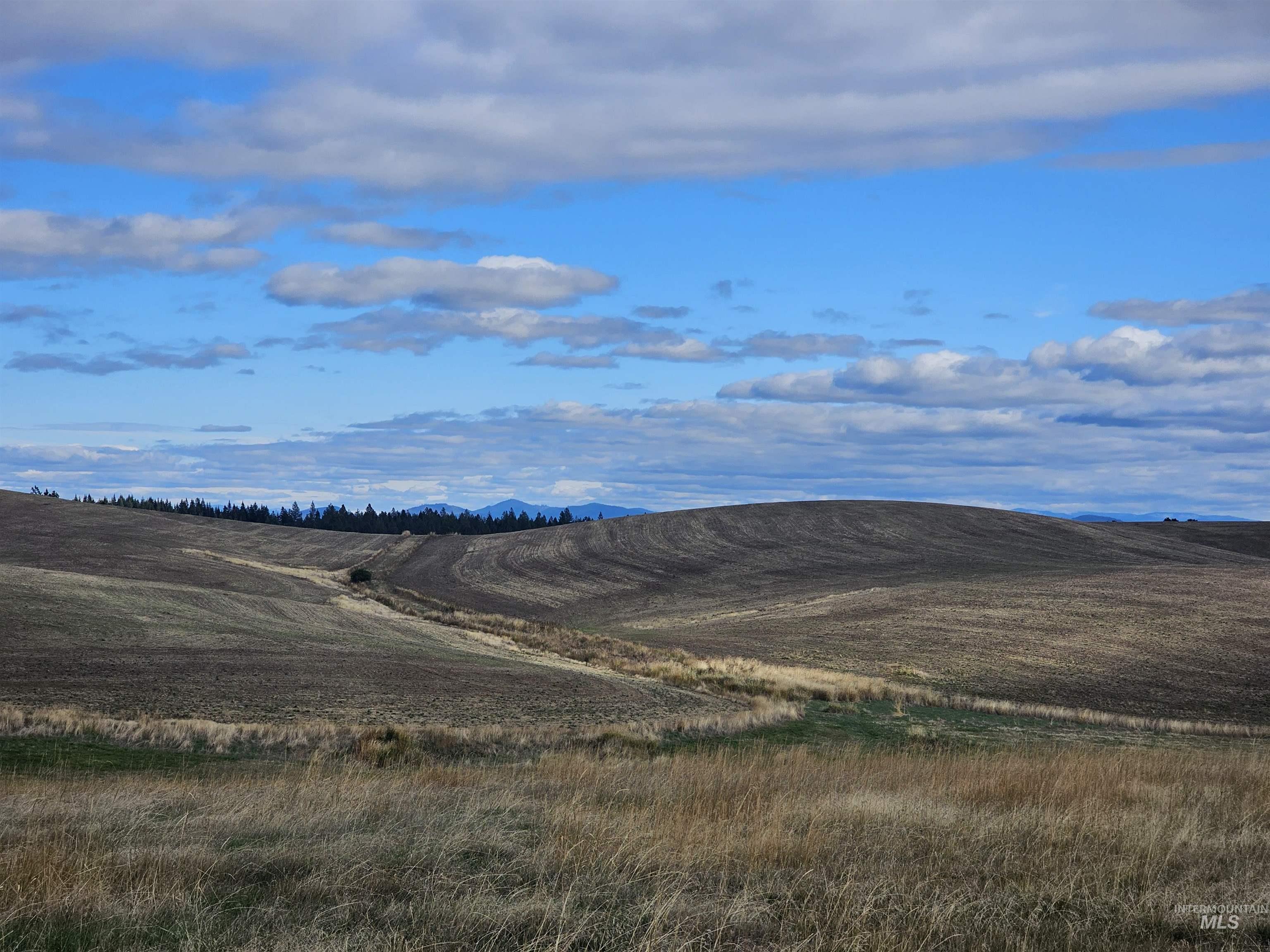 0 Brown Rd, Parcel 2, Lenore, Idaho 83541, Land For Sale, Price $199,000,MLS 98979991