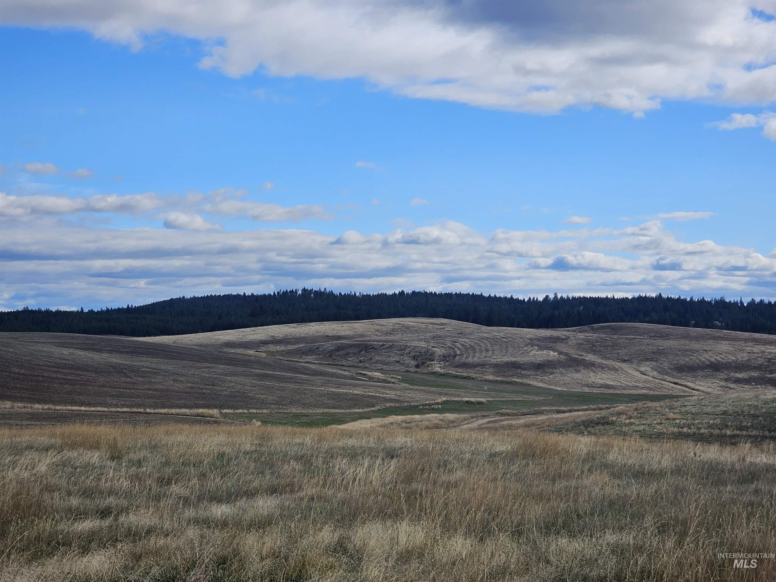 0 Brown Rd, Parcel 2, Lenore, Idaho 83541, Land For Sale, Price $199,000,MLS 98979991