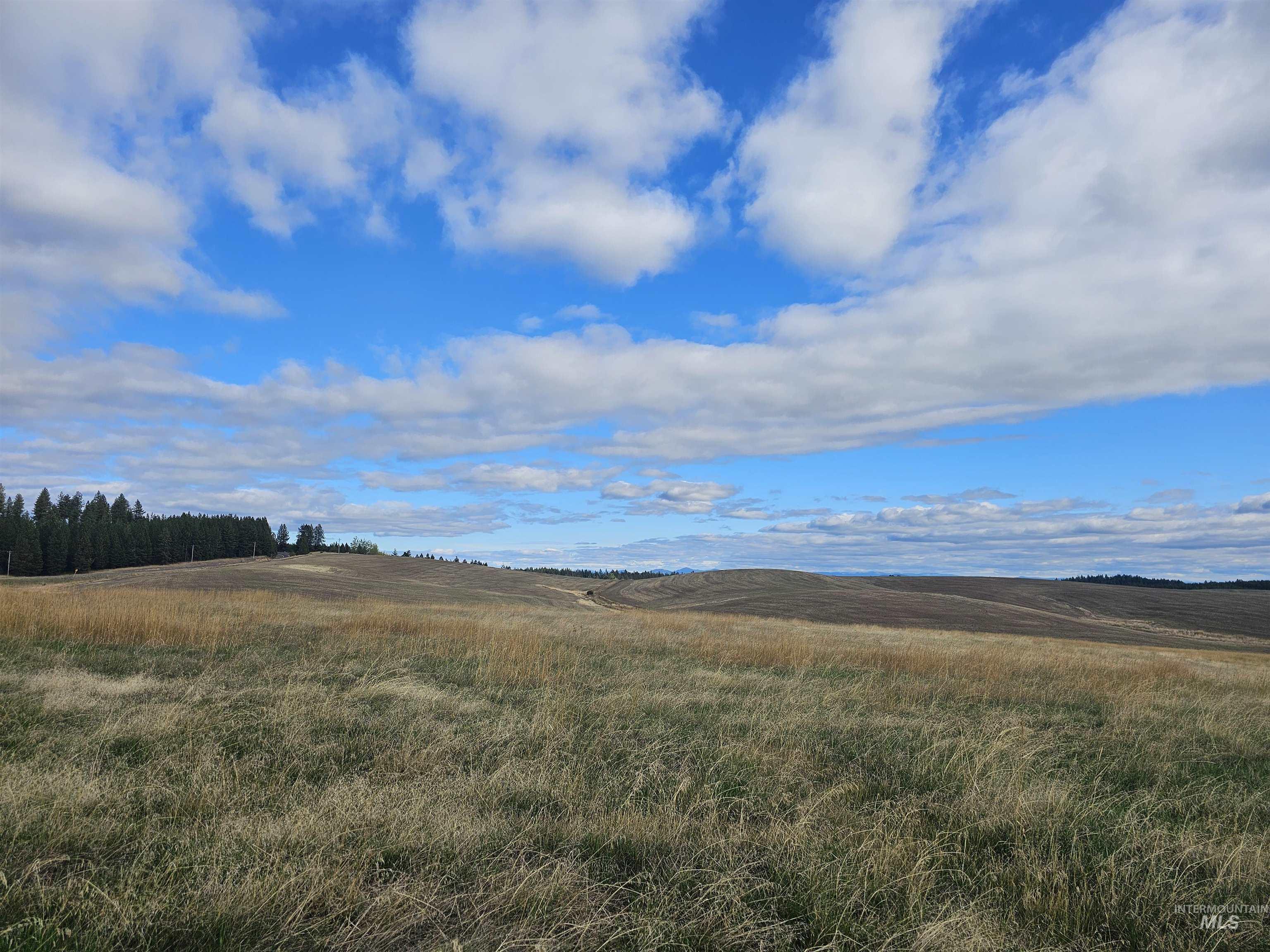 0 Brown Rd, Parcel 2, Lenore, Idaho 83541, Land For Sale, Price $199,000,MLS 98979991