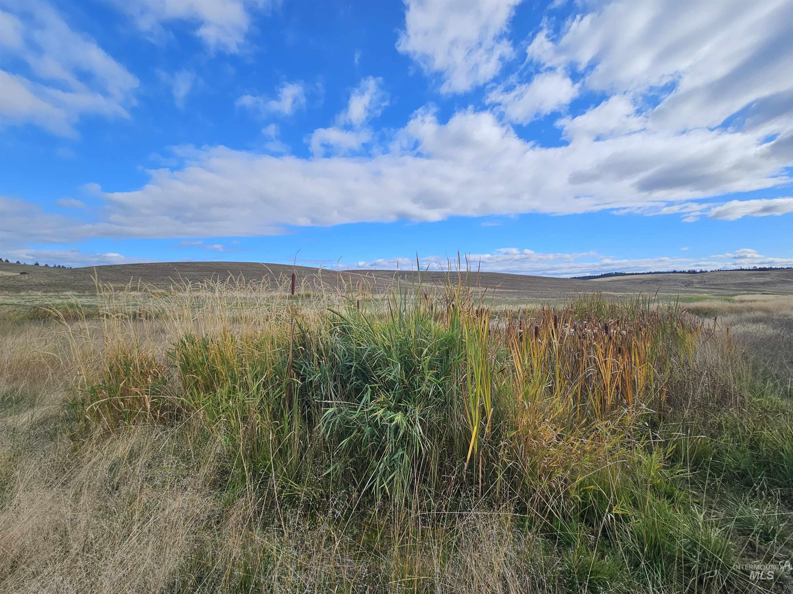 0 Brown Rd, Parcel 2, Lenore, Idaho 83541, Land For Sale, Price $199,000,MLS 98979991