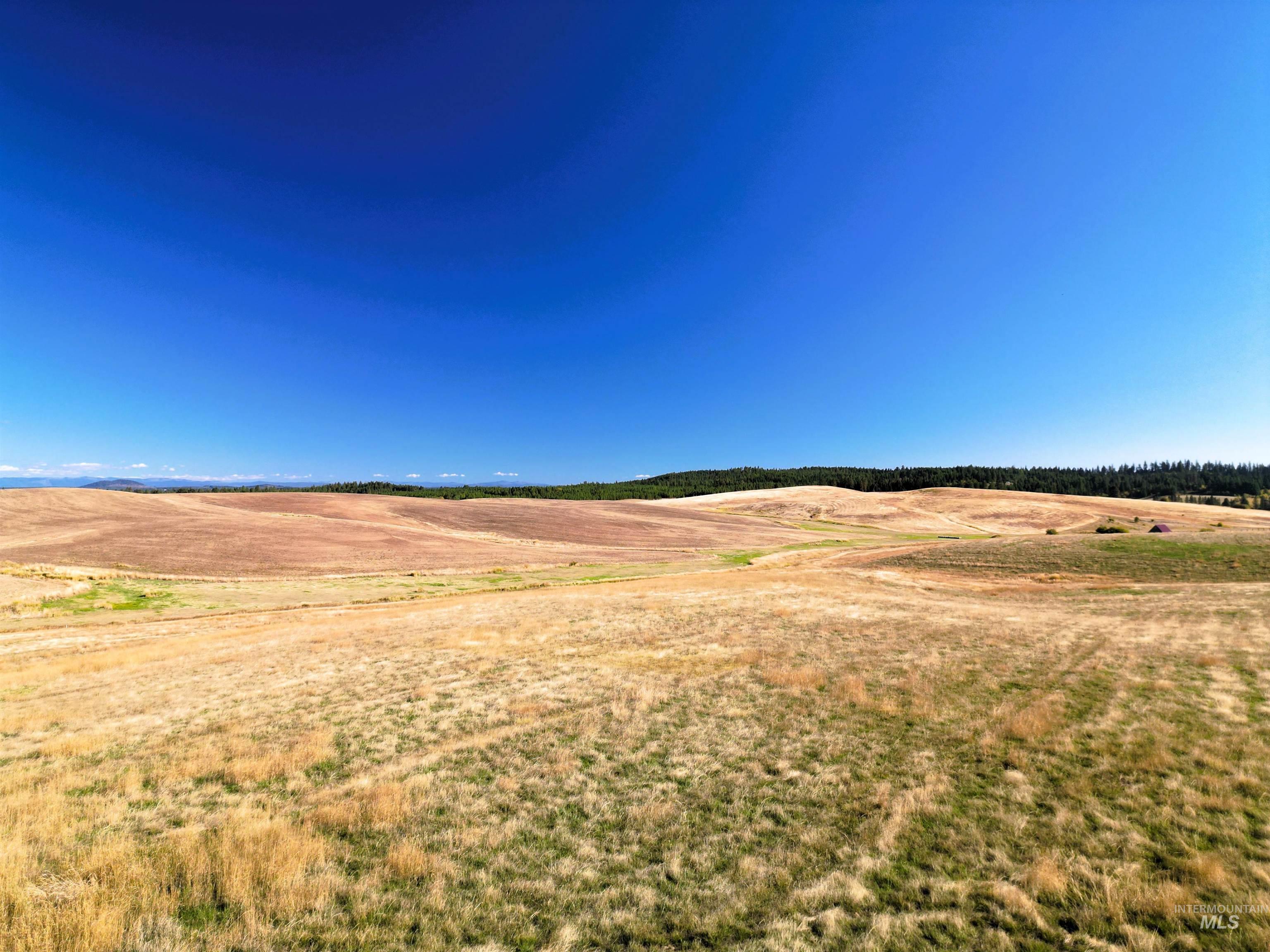 0 Brown Rd, Parcel 2, Lenore, Idaho 83541, Land For Sale, Price $199,000,MLS 98979991