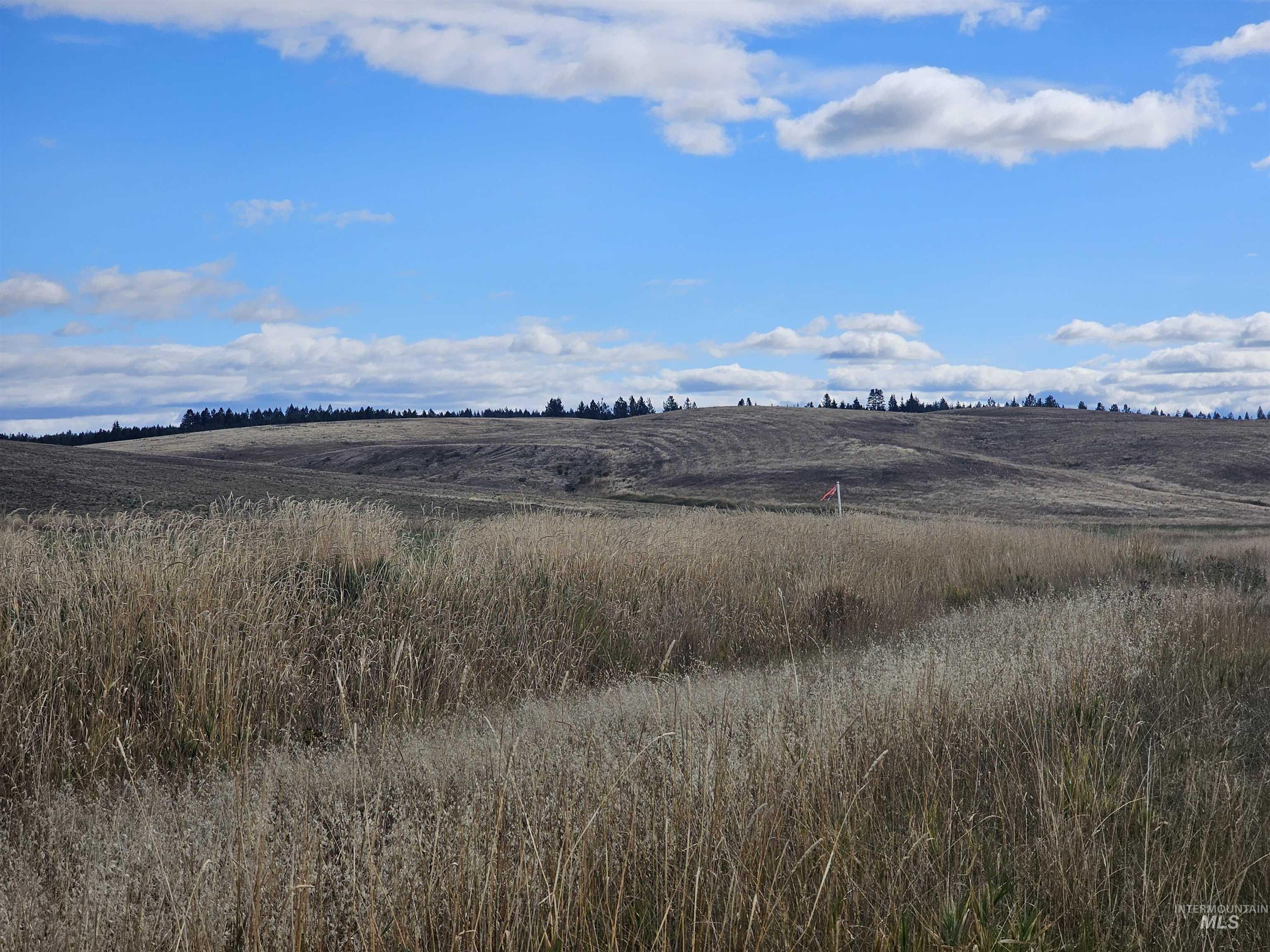 0 Brown Rd, Parcel 2, Lenore, Idaho 83541, Land For Sale, Price $199,000,MLS 98979991