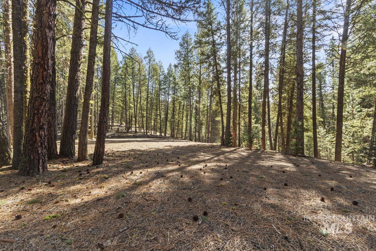 150 Mountain Air Drive, Cascade, Idaho 83611, Land For Sale, Price $169,000, 98980053