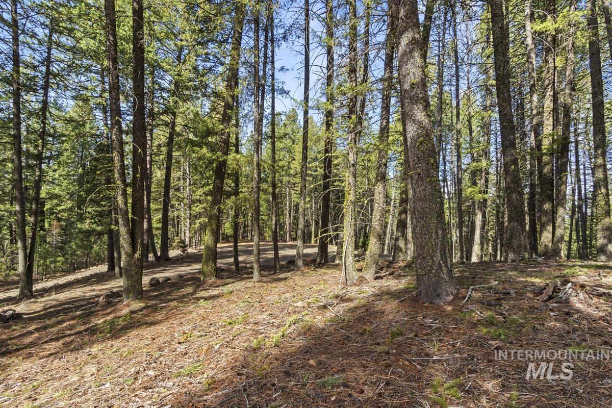 150 Mountain Air Drive, Cascade, Idaho 83611, Land For Sale, Price $169,000, 98980053