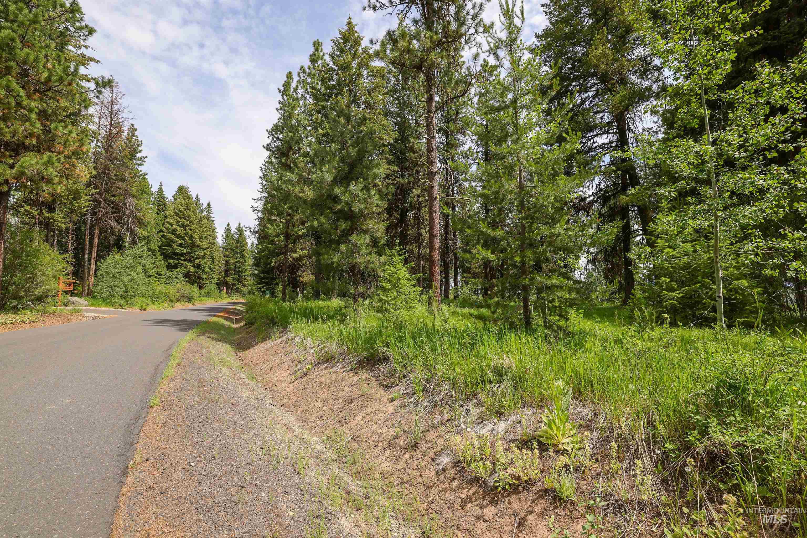 280 Blackhawk Lake Dr, McCall, Idaho 83638, Land For Sale, Price $440,000, 98980063