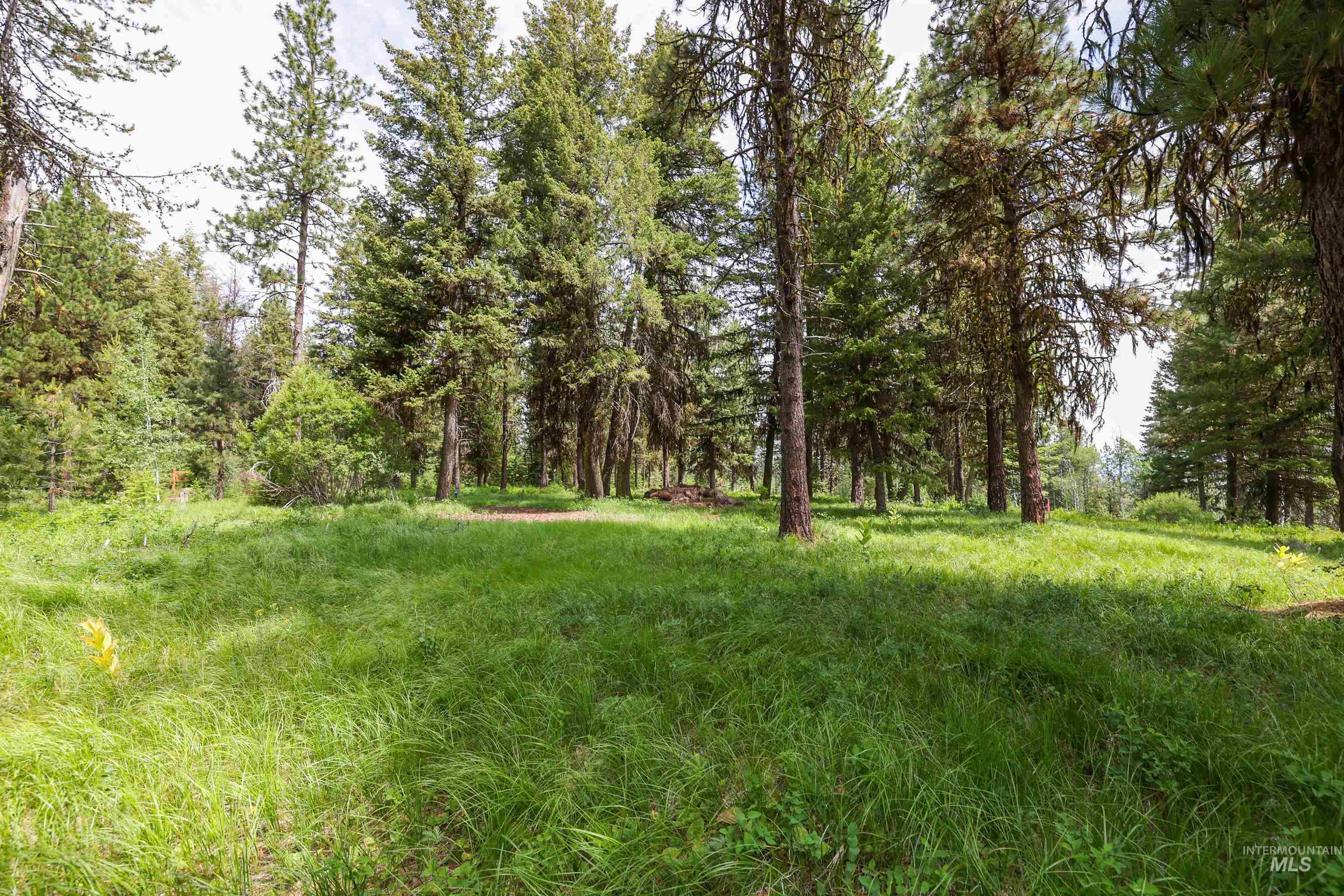 280 Blackhawk Lake Dr, McCall, Idaho 83638, Land For Sale, Price $440,000, 98980063