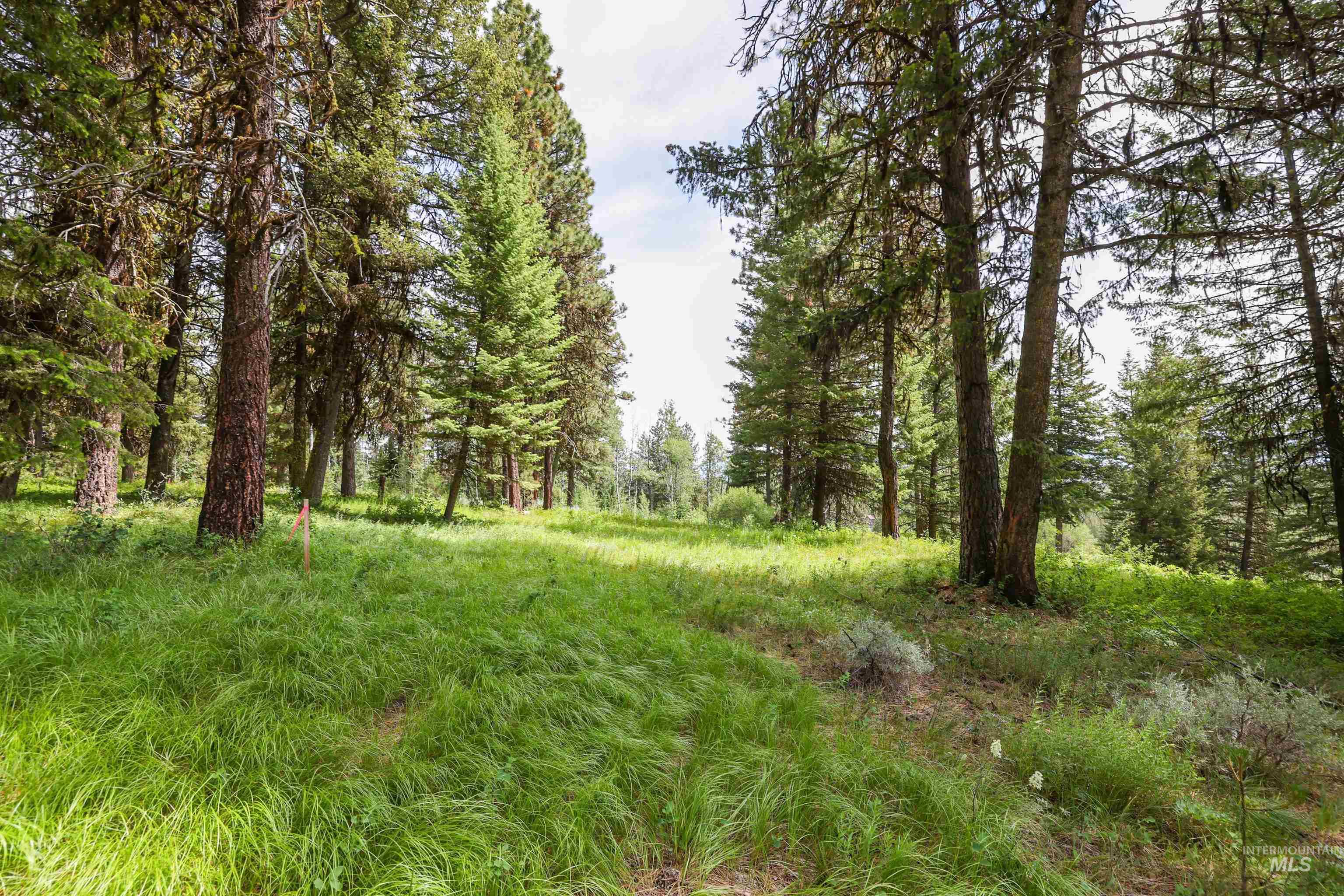 280 Blackhawk Lake Dr, McCall, Idaho 83638, Land For Sale, Price $440,000, 98980063