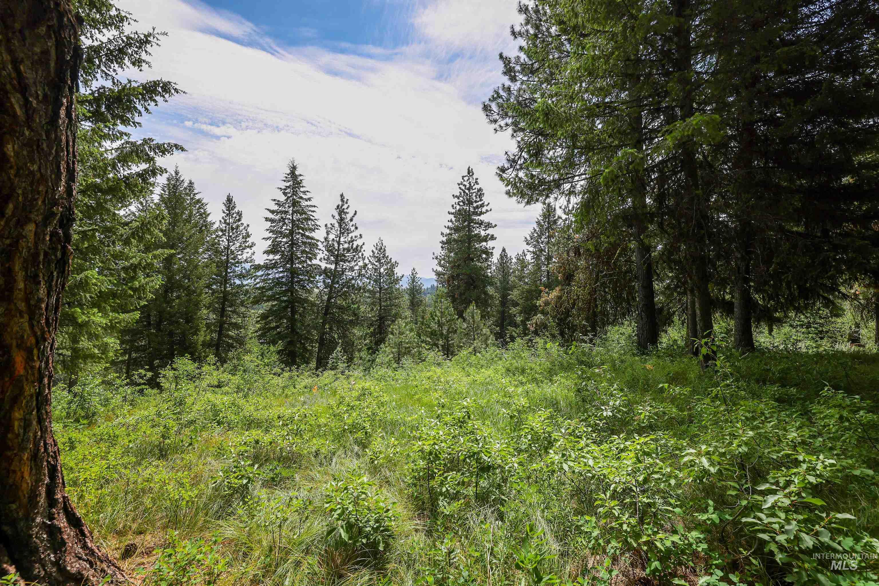 280 Blackhawk Lake Dr, McCall, Idaho 83638, Land For Sale, Price $440,000, 98980063