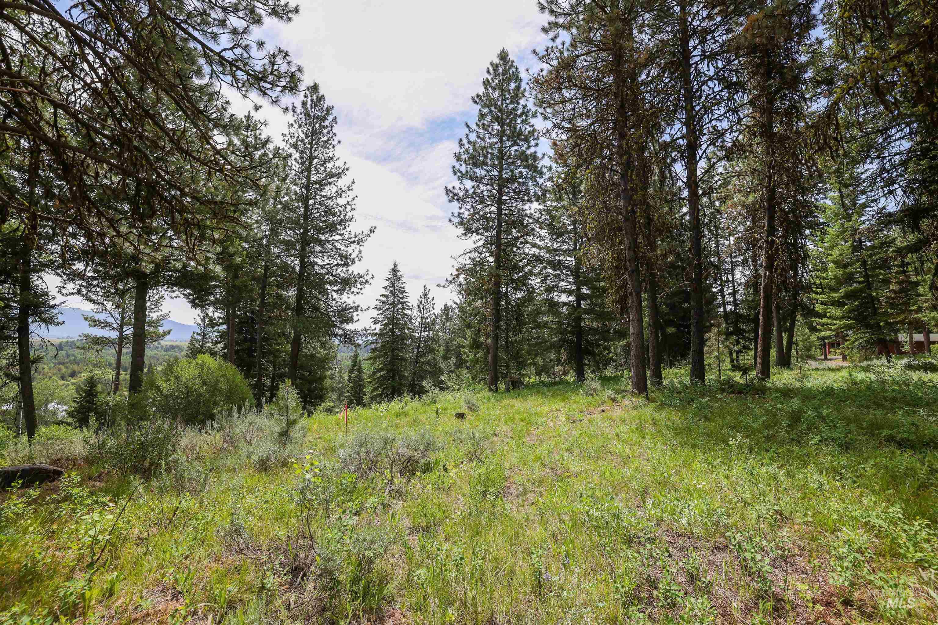 280 Blackhawk Lake Dr, McCall, Idaho 83638, Land For Sale, Price $440,000, 98980063