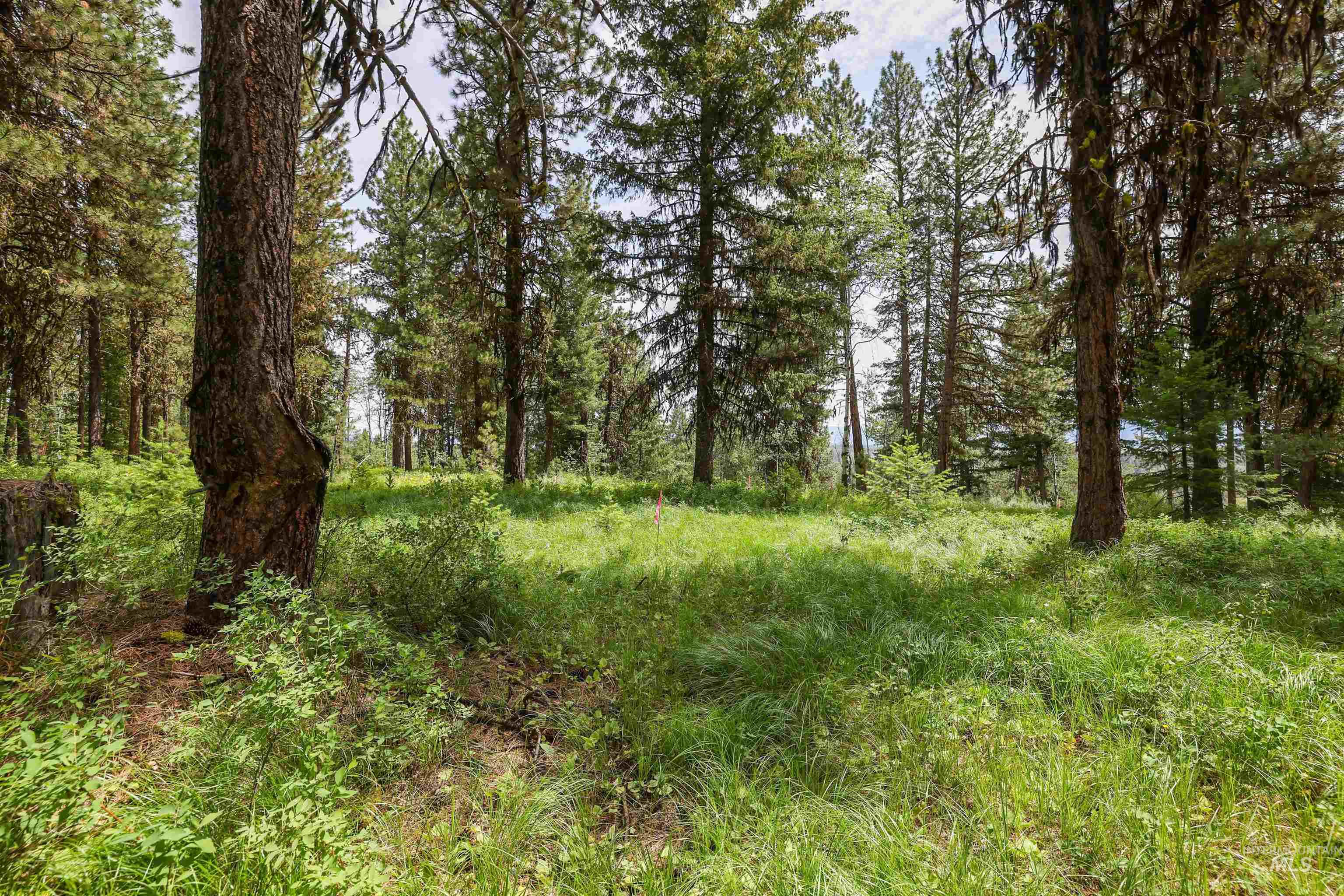 280 Blackhawk Lake Dr, McCall, Idaho 83638, Land For Sale, Price $440,000, 98980063