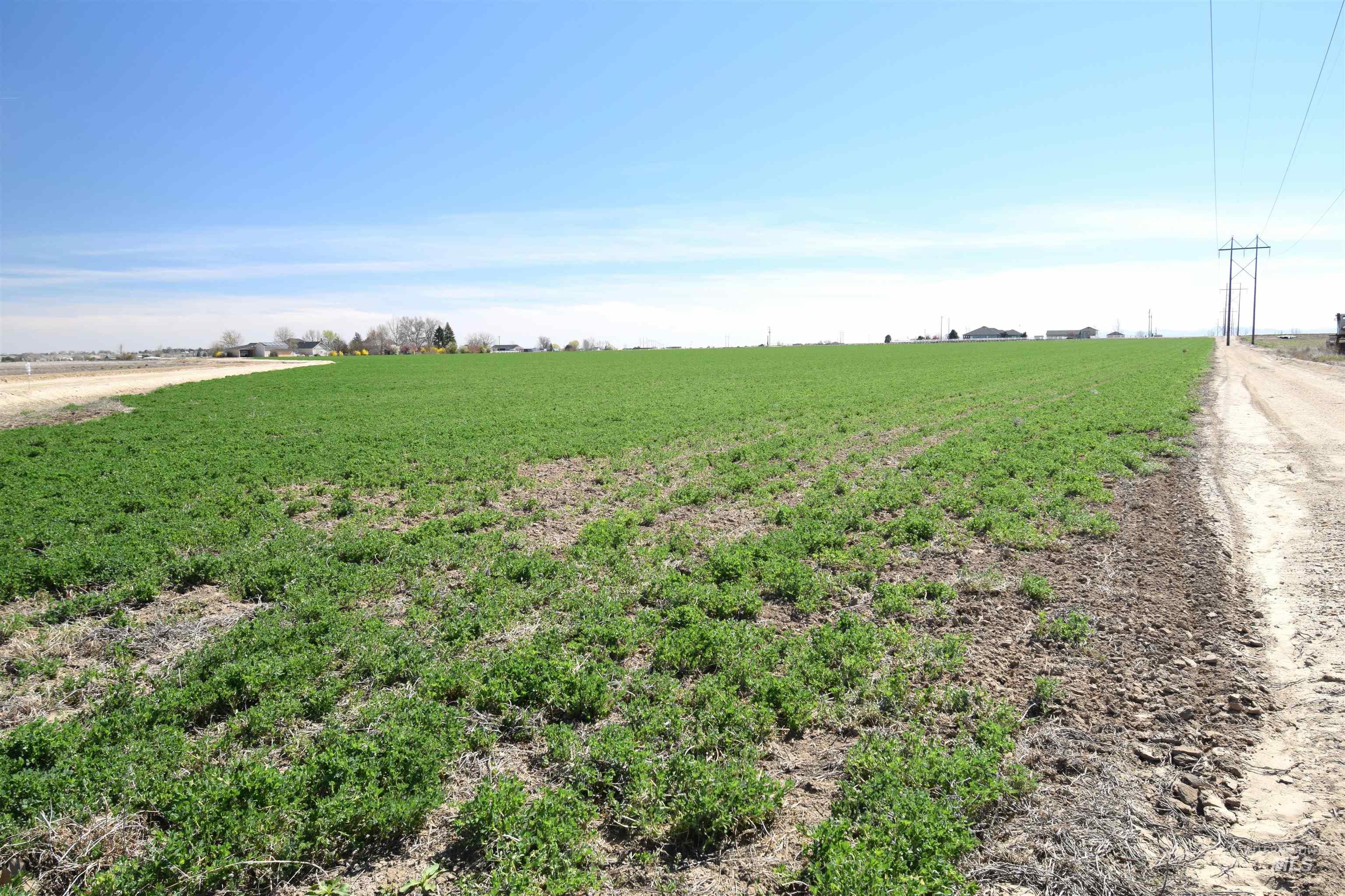 0 Lonkey Lane, Caldwell, Idaho 83607, Land For Sale, Price $2,061,500, 98980071