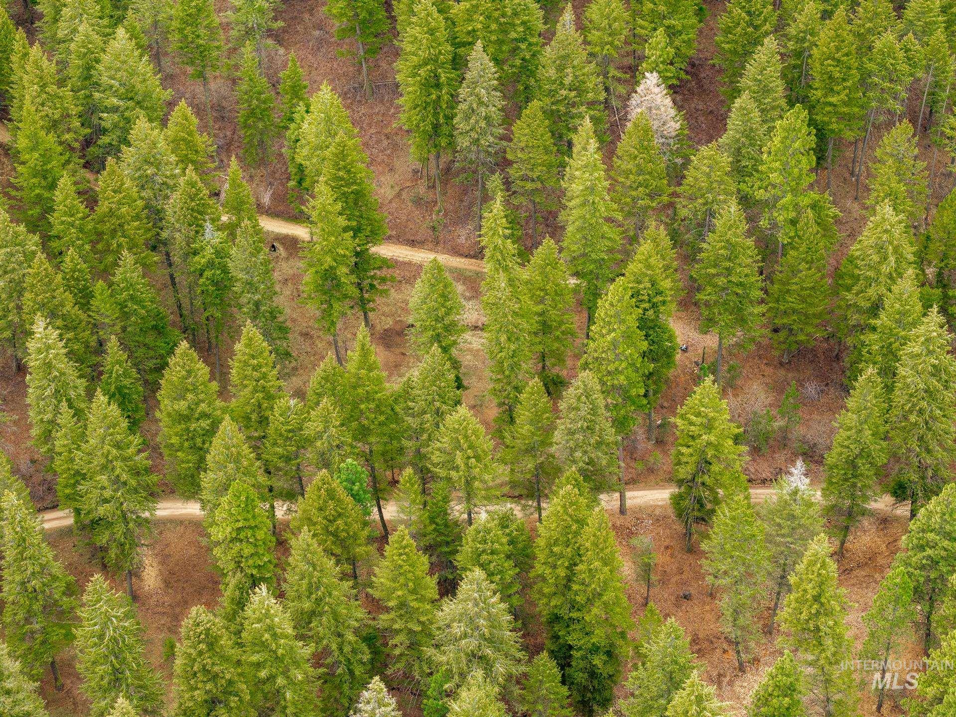 TBD Bumble Bee Rd., Boise, Idaho 83716, Land For Sale, Price $95,000, 98980076