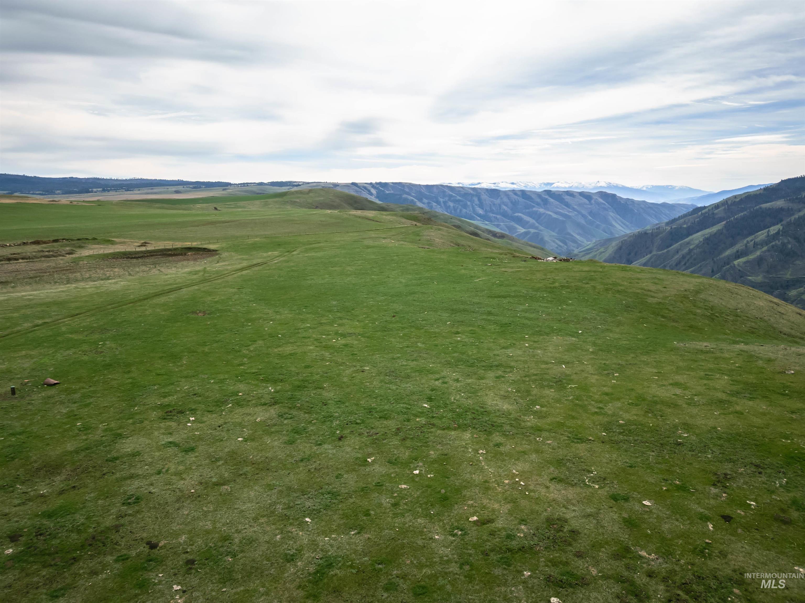 Lot 1 Salmon River Estates, Grangeville, Idaho 83530, Land For Sale, Price $239,000, 98980077