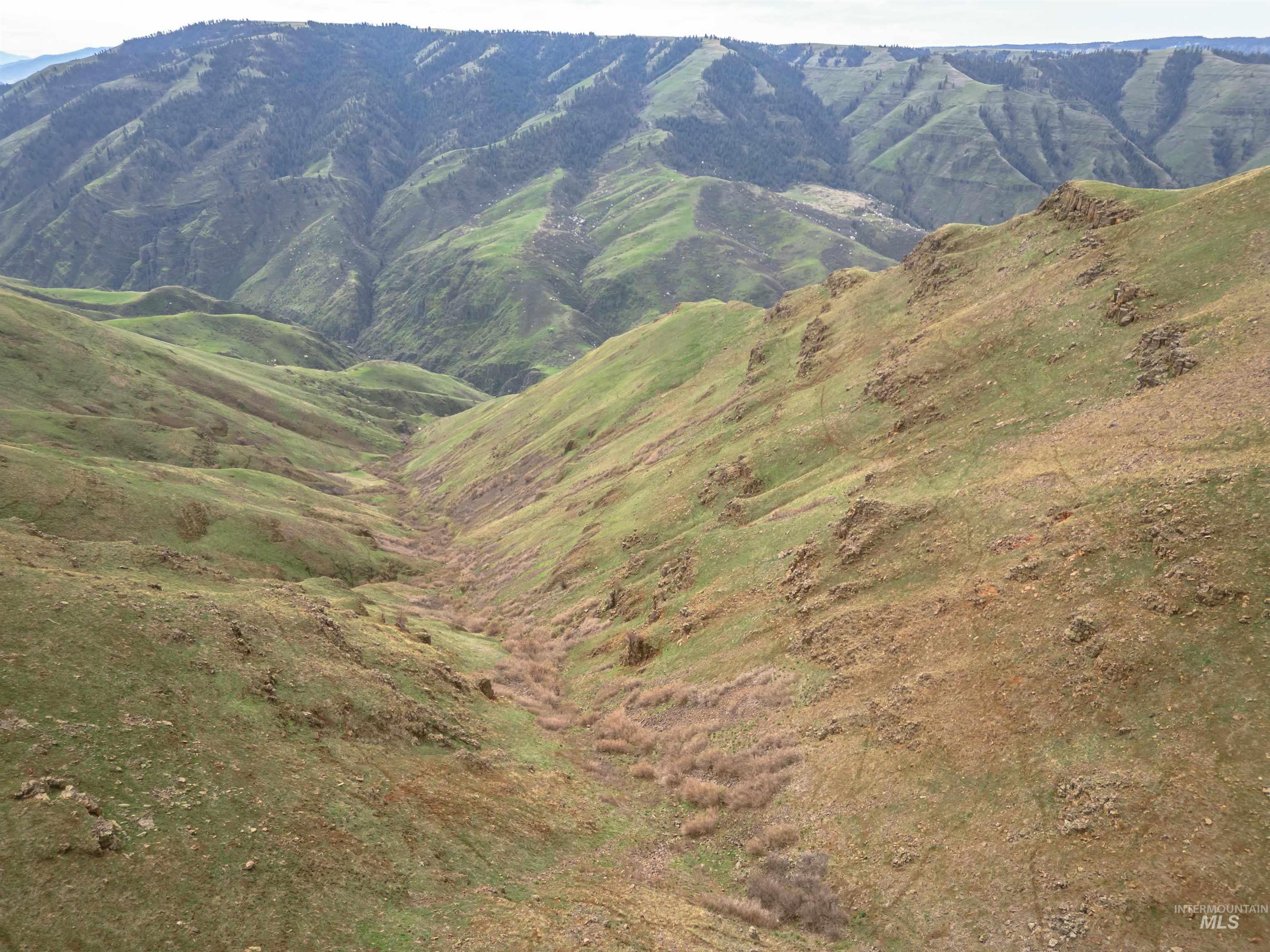 Lot 1 Salmon River Estates, Grangeville, Idaho 83530, Land For Sale, Price $239,000, 98980077