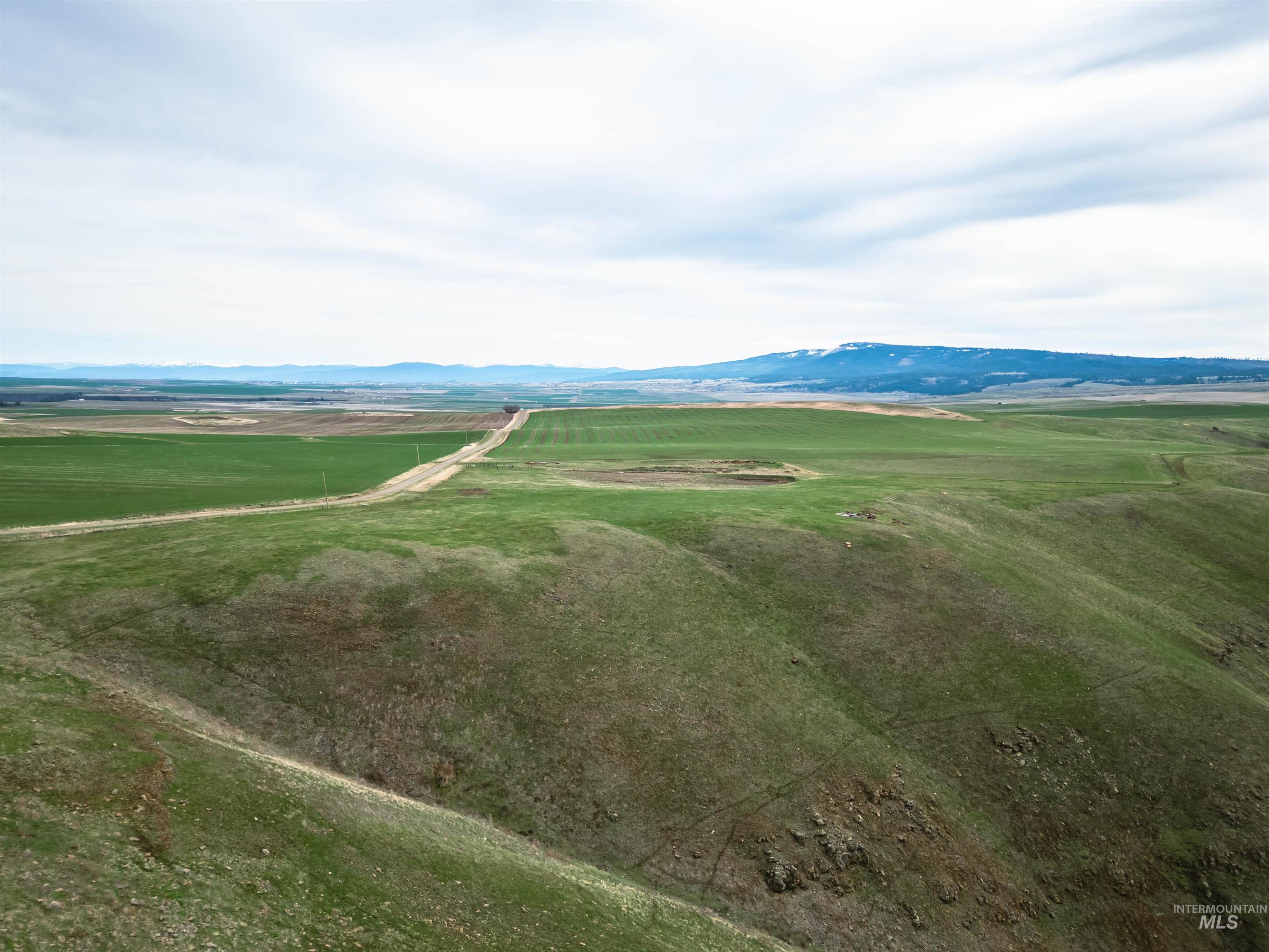 Lot 1 Salmon River Estates, Grangeville, Idaho 83530, Land For Sale, Price $239,000, 98980077