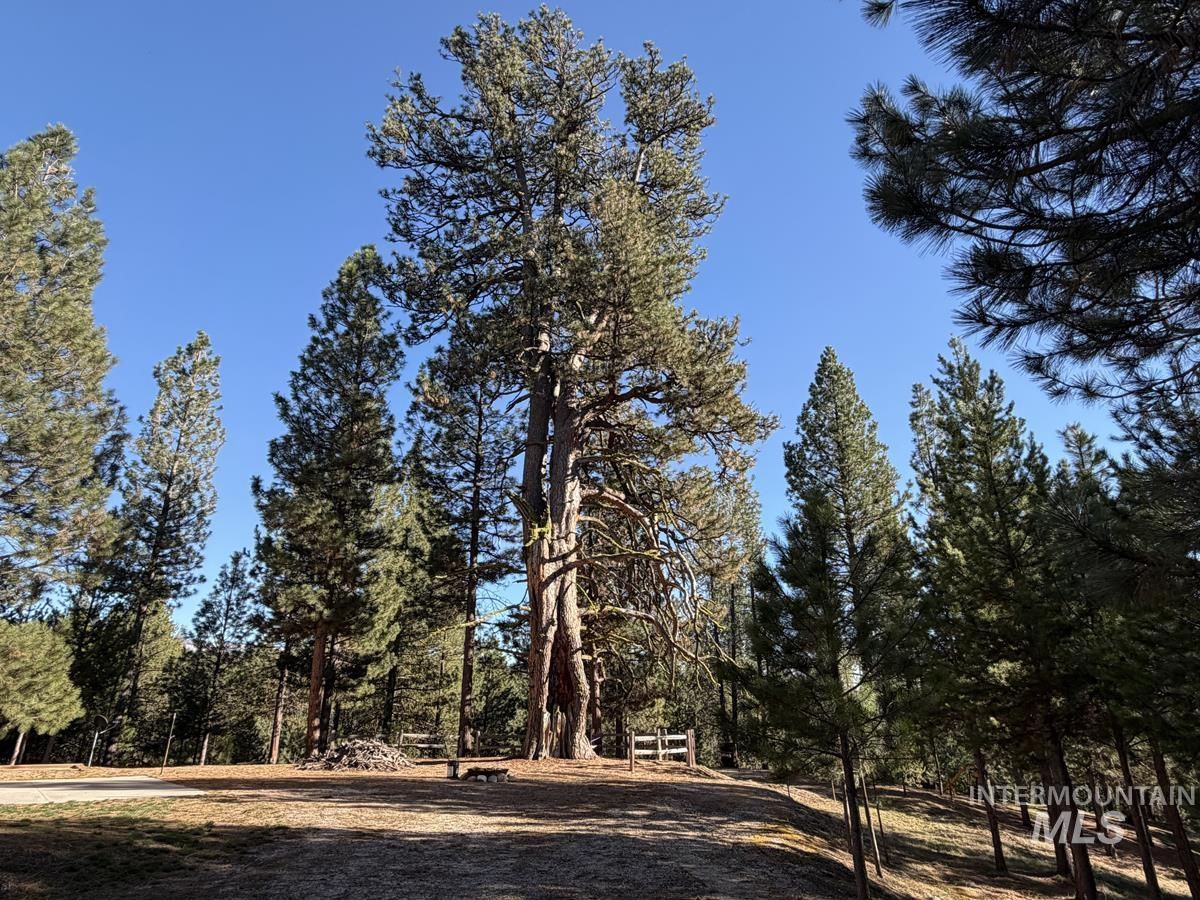 7 Carey Way, Cascade, Idaho 83611, 2 Bedrooms, 2 Bathrooms, Residential For Sale, Price $764,900,MLS 98980085