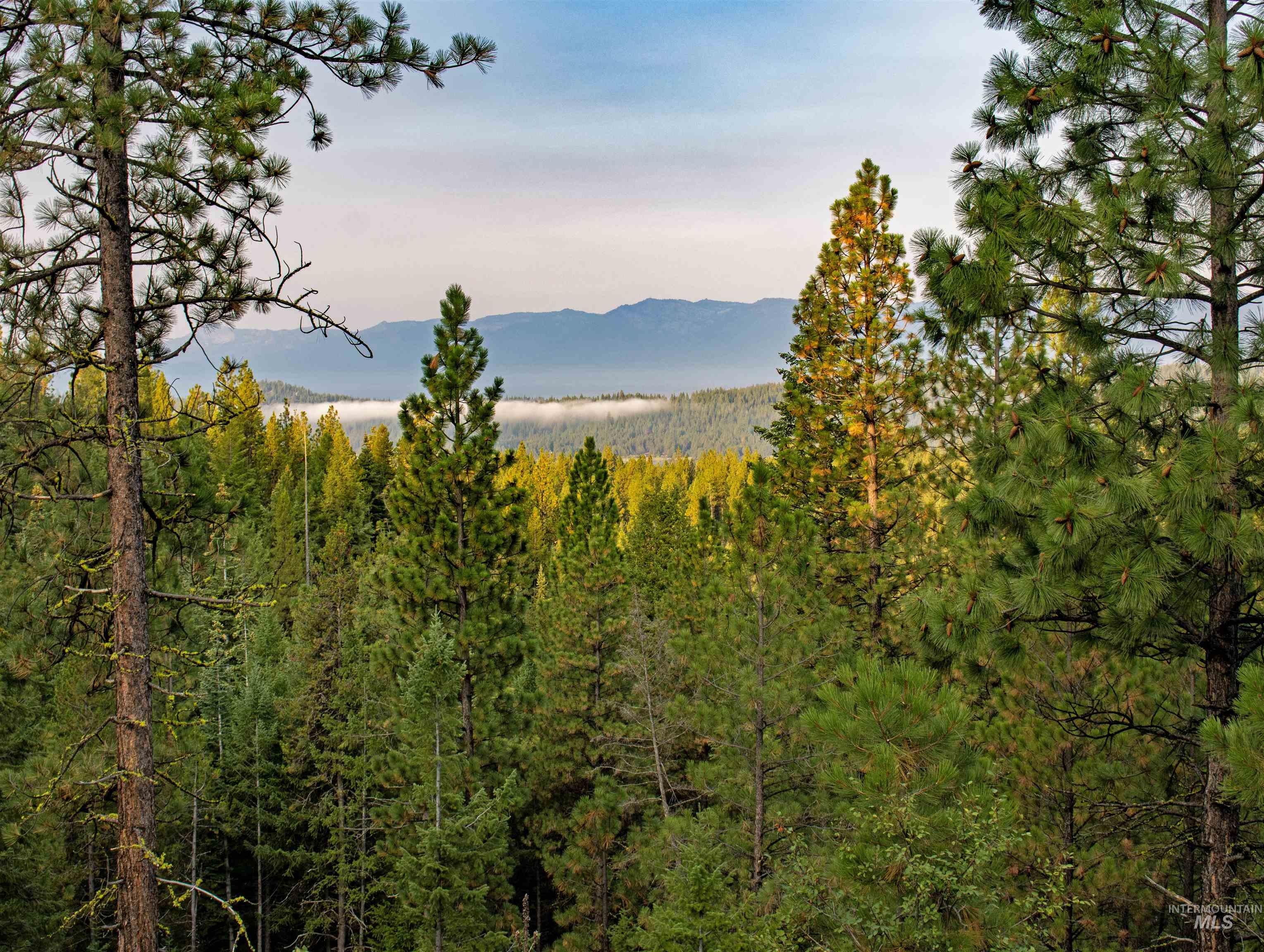 TBD 1 Warm Lake Road, Cascade, Idaho 83611, Land For Sale, Price $22,500,000,MLS 98980090
